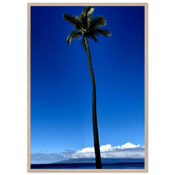 Hawaii Majestic Palm Tree Maui Mounted Framed Poster – Travel Collection Studio Edition Spring '26: Hawaii Edition - CaliCuration