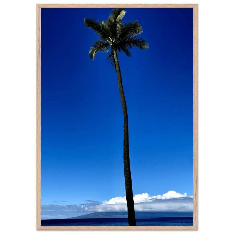 Hawaii Majestic Palm Tree Maui Mounted Framed Poster – Travel Collection Studio Edition Spring '26: Hawaii Edition - CaliCuration
