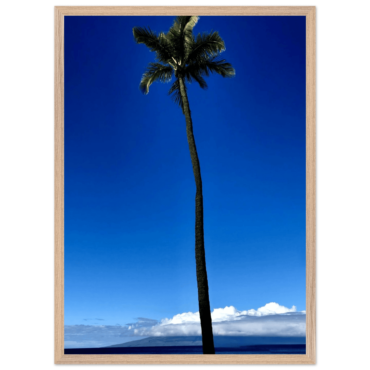 Hawaii Majestic Palm Tree Maui Mounted Framed Poster – Travel Collection Studio Edition Spring '26: Hawaii Edition - CaliCuration