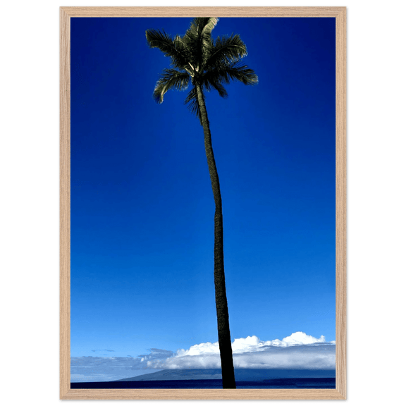 Hawaii Majestic Palm Tree Maui Mounted Framed Poster – Travel Collection Studio Edition Spring '26: Hawaii Edition - CaliCuration