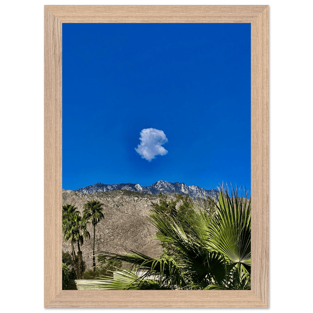 Palm Springs cloud-mounted wooden framed poster showcasing California scenery, part of Studio Edition Spring 26 home decor art.