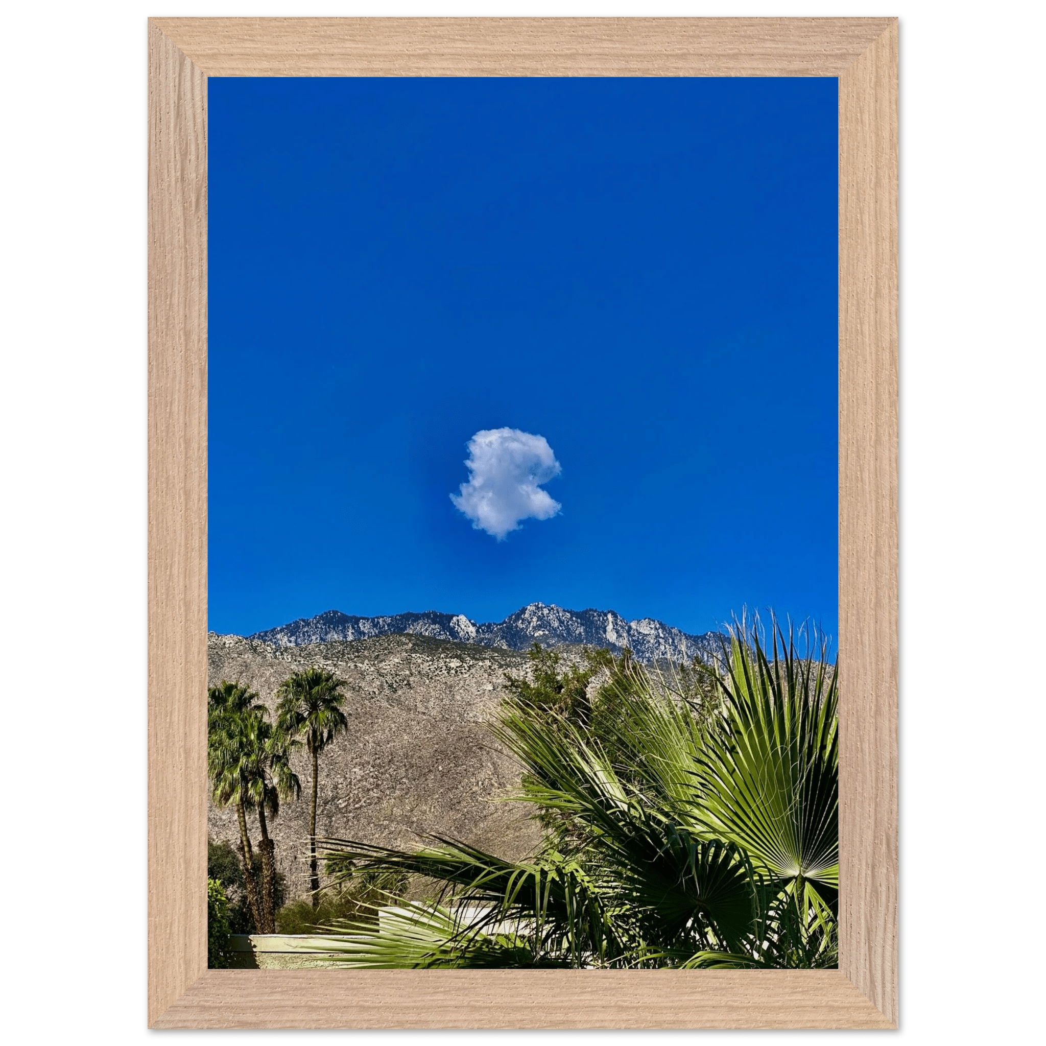 Palm Springs cloud-mounted wooden framed poster showcasing California scenery, part of Studio Edition Spring 26 home decor art.