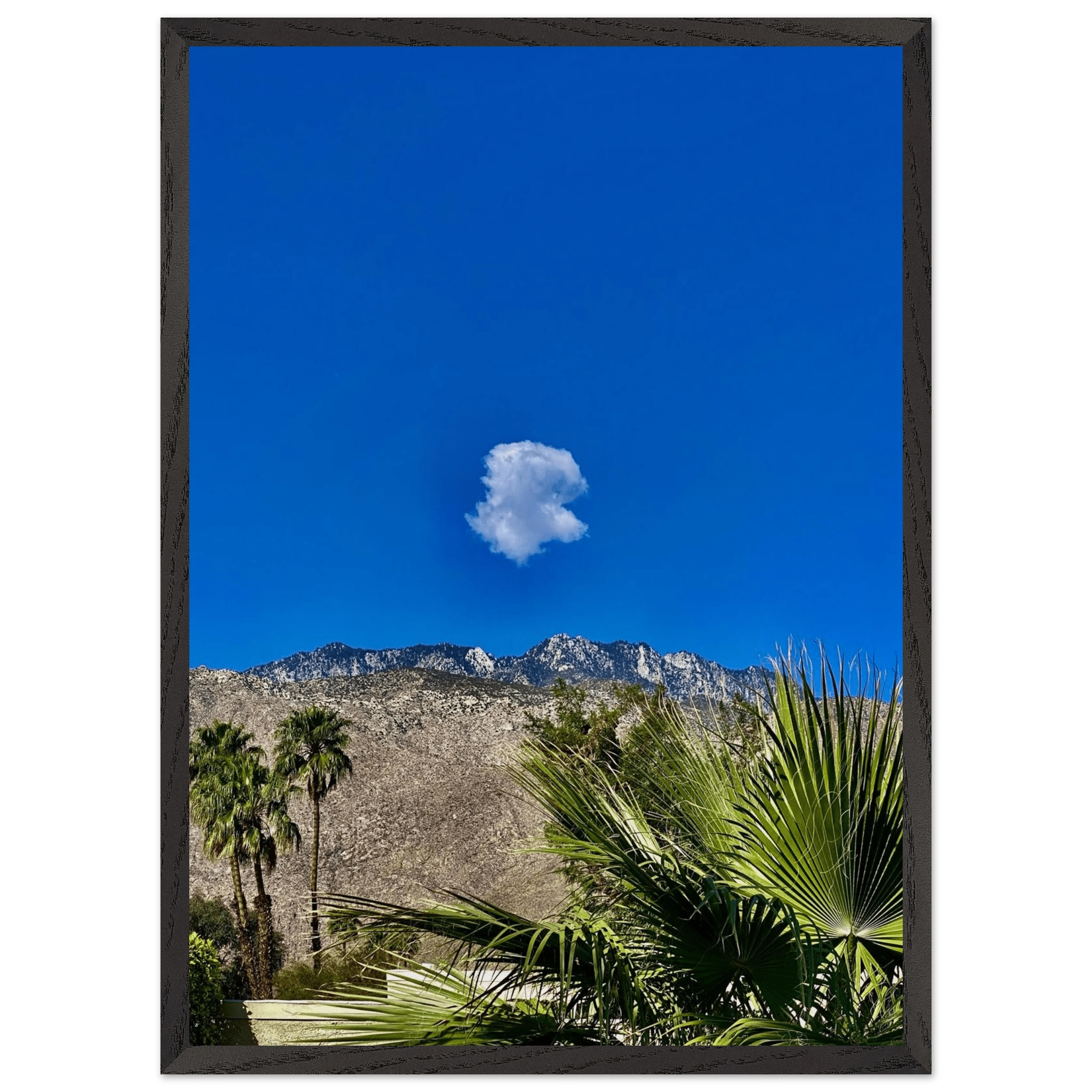 Palm Springs cloud-mounted wooden framed poster showcasing California scenery, perfect as stylish home decor.