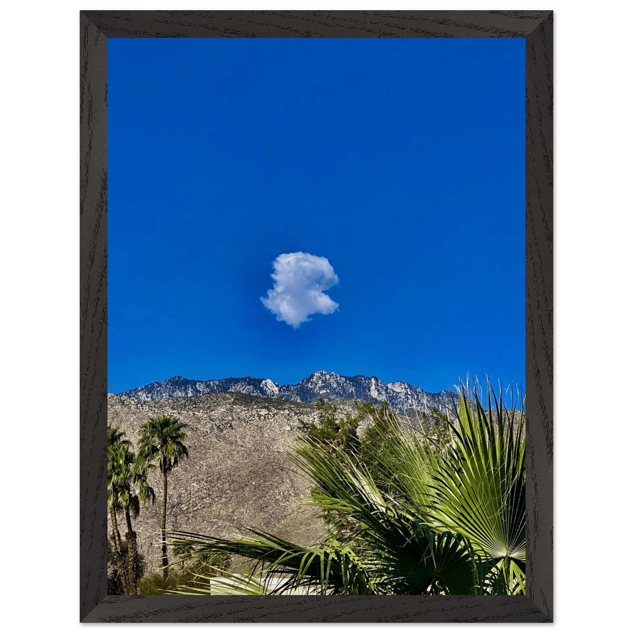 Palm Springs cloud-mounted wooden framed poster featuring California landscape art, perfect for home decor.