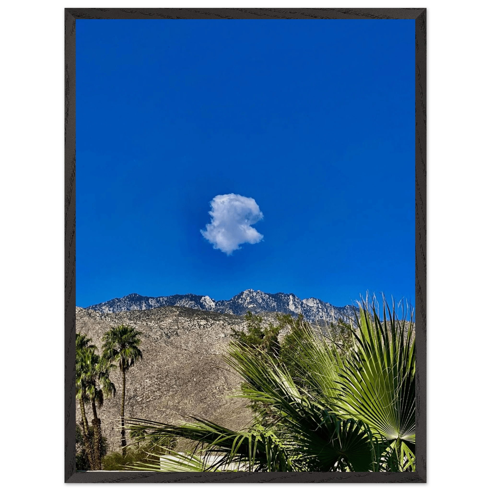 Cloud-mounted wooden framed poster of Palm Springs, featuring stunning California art in a spring theme.