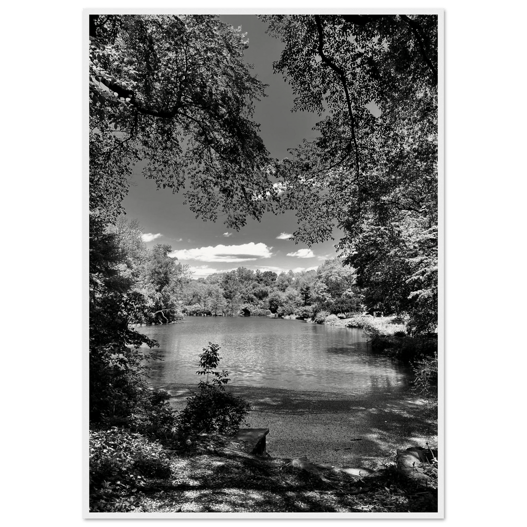 Framed black and white wooden poster of Central Park in summer glow, part of My Store's Travel Collection Studio Edition.