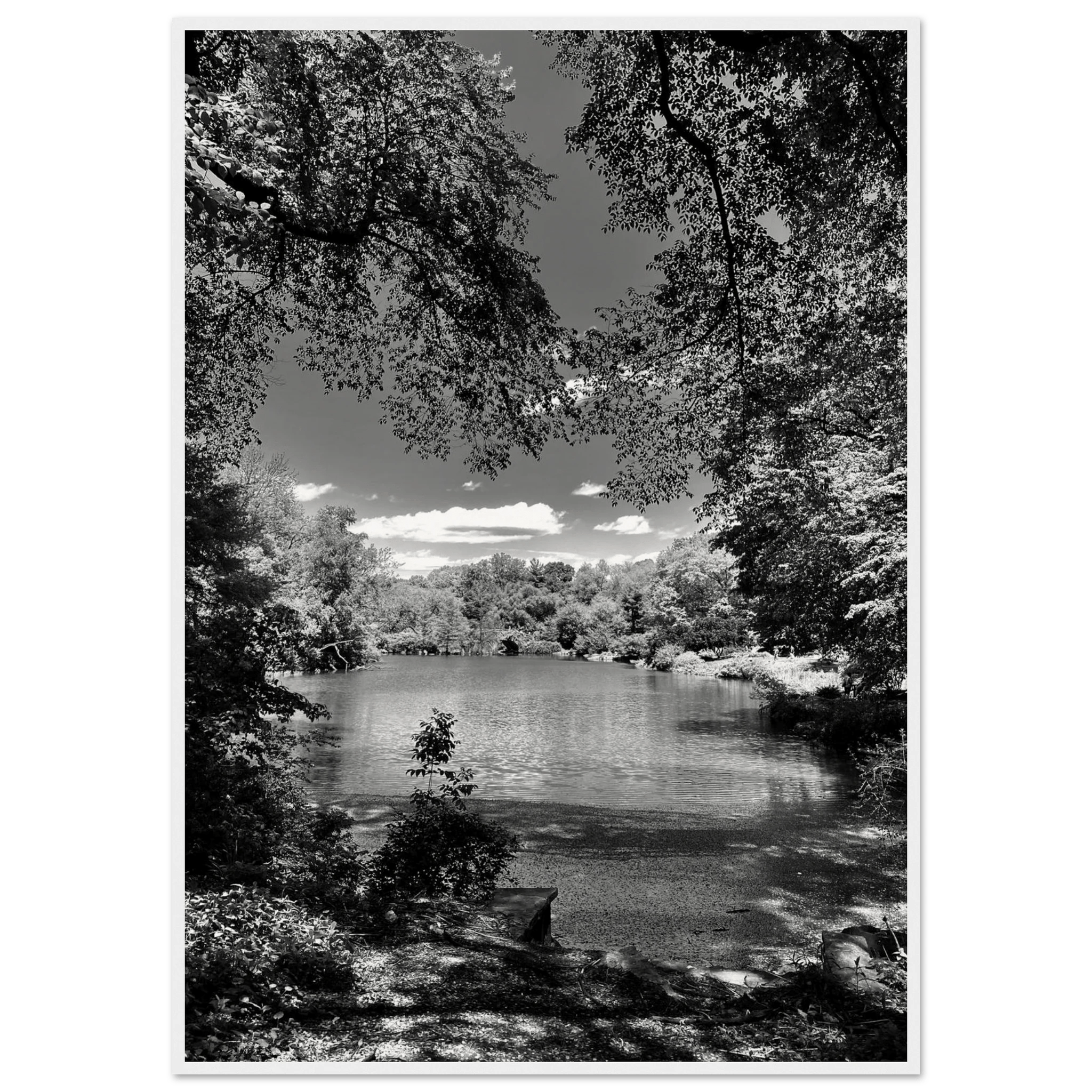 Framed black and white wooden poster of Central Park in summer glow, part of My Store's Travel Collection Studio Edition.
