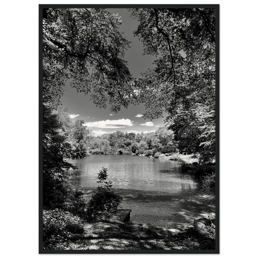 Framed black and white wooden poster of Central Park in summer glow from the Travel Collection Studio Edition by My Store.