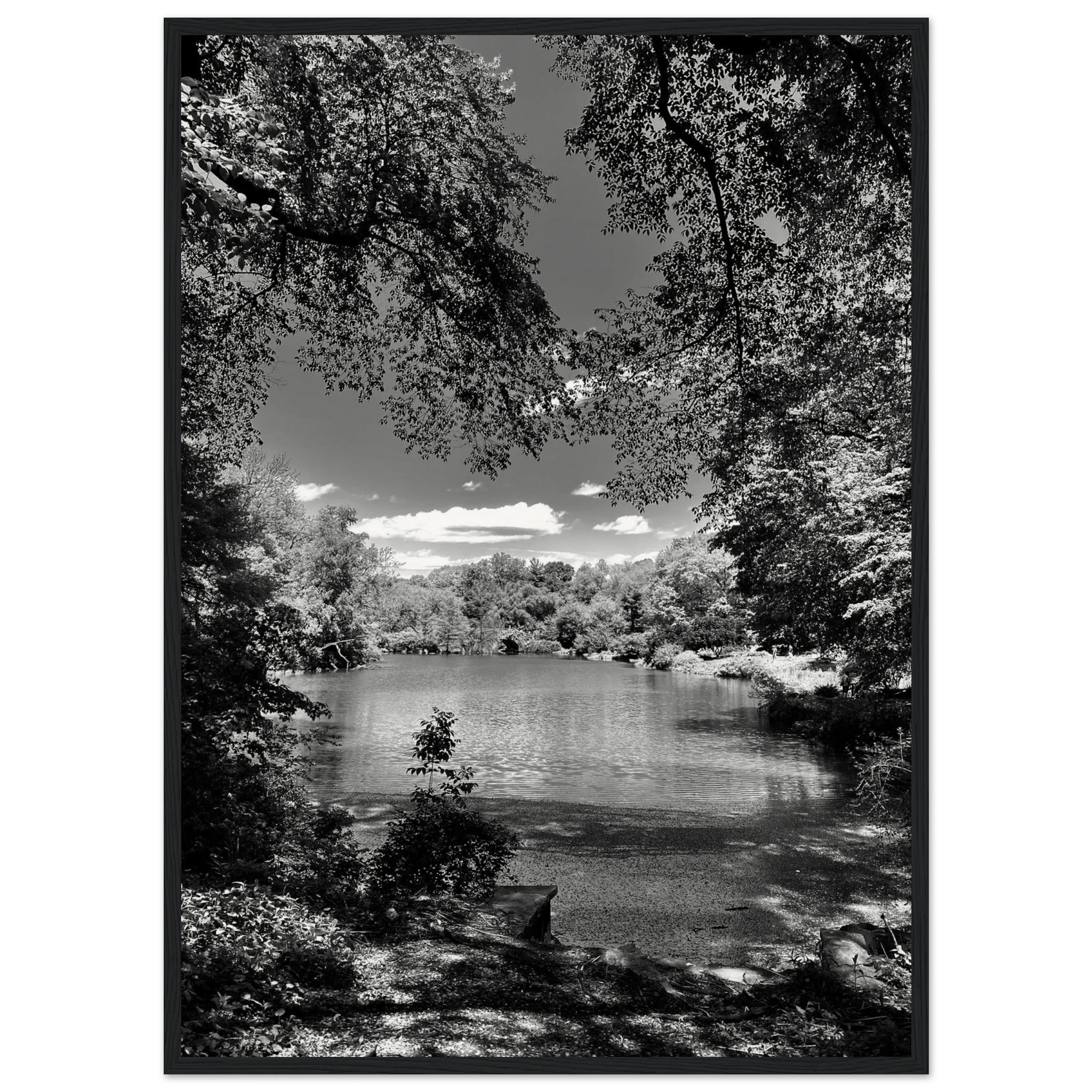 Framed black and white wooden poster of Central Park in summer glow from the Travel Collection Studio Edition by My Store.