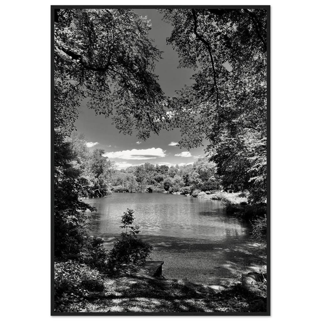 Framed black and white wooden print of Central Park in summer glow, from the Travel Collection Studio Edition by My Store.