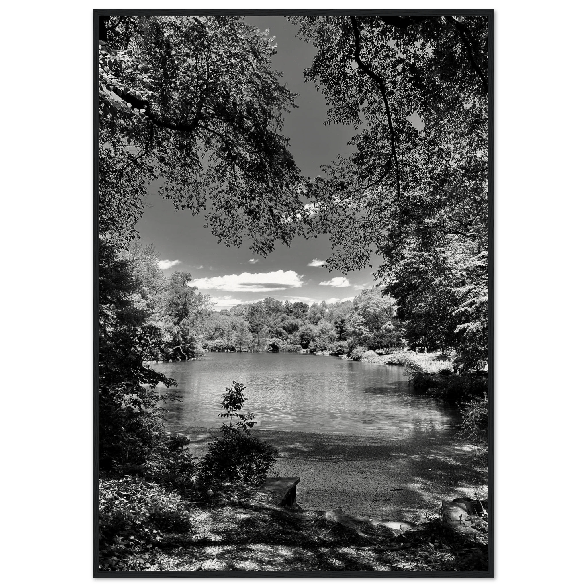 Framed black and white wooden print of Central Park in summer glow, from the Travel Collection Studio Edition by My Store.