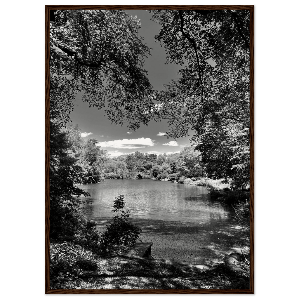 Framed wooden print of Central Park in summer glow, black and white Studio Edition from the Travel Collection by My Store.