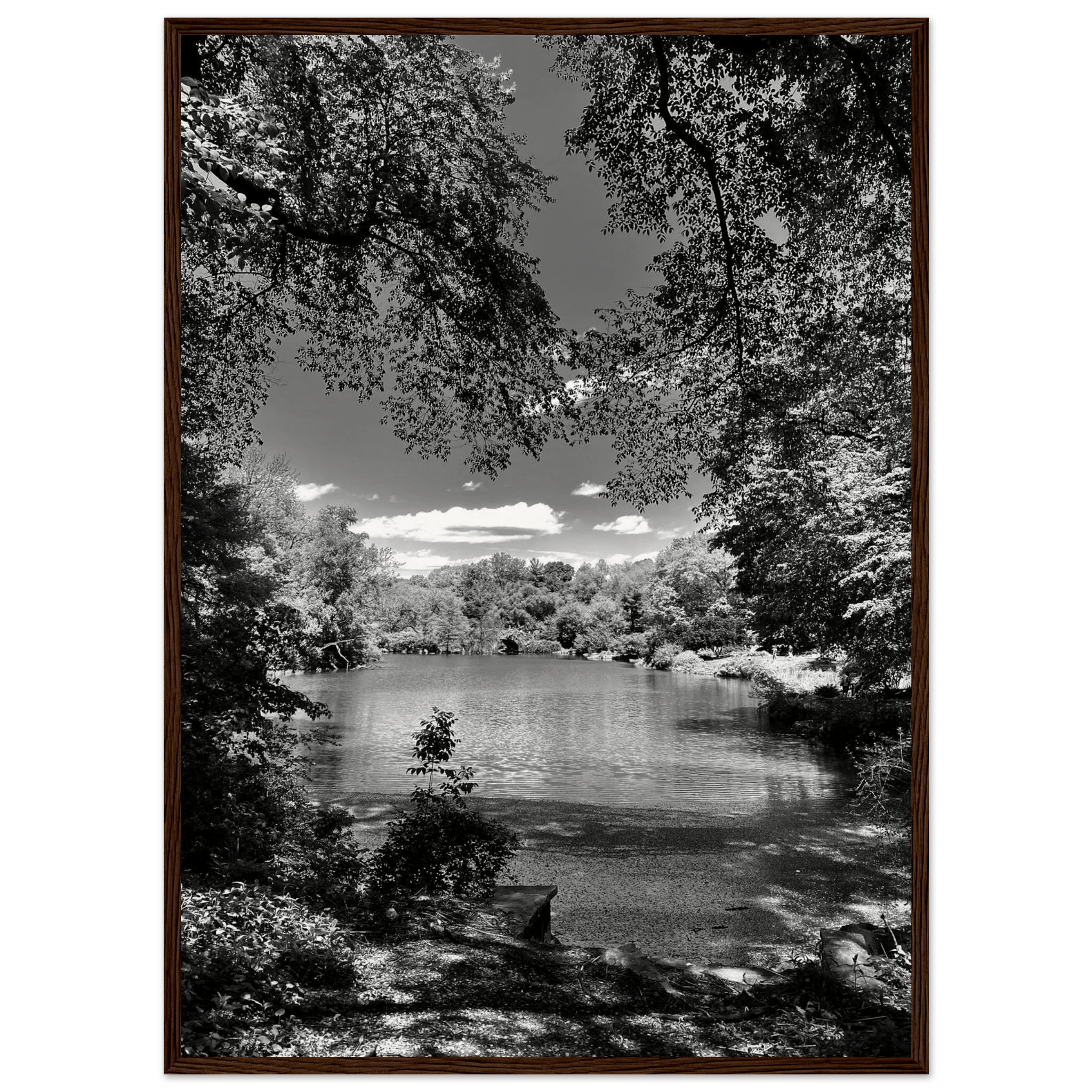 Framed wooden print of Central Park in summer glow, black and white Studio Edition from the Travel Collection by My Store.