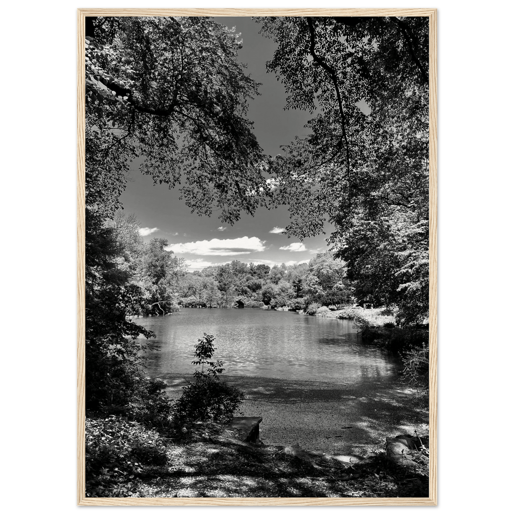Framed wooden print of Central Park in summer glow, from My Store's Travel Collection Black & White Series, studio edition.