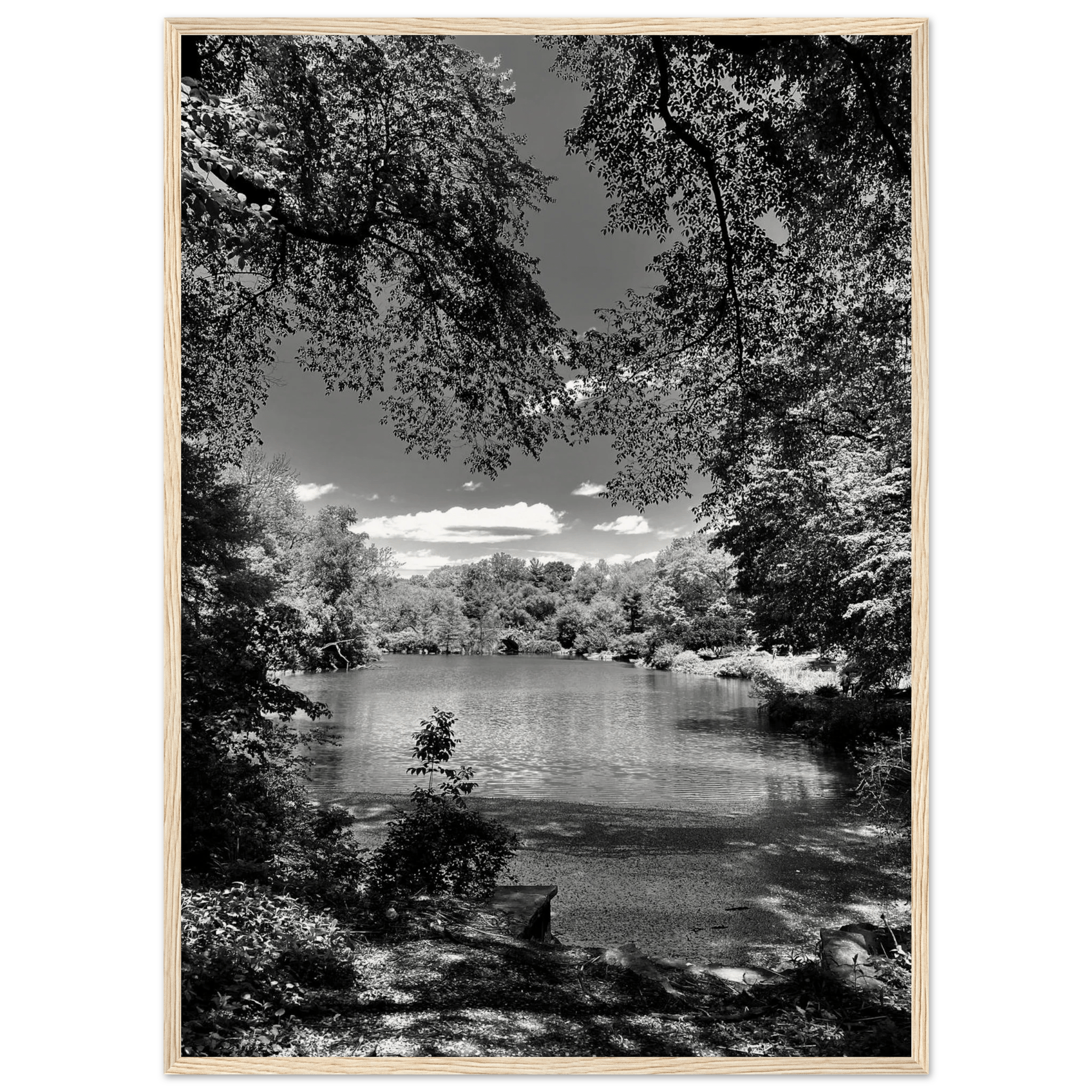 Framed wooden print of Central Park in summer glow, from My Store's Travel Collection Black & White Series, studio edition.