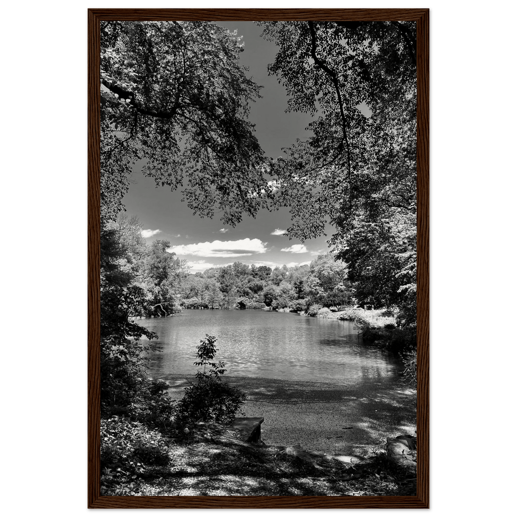 Framed wooden print of Central Park in summer glow, black and white Studio Edition from the Travel Collection, stylish wall art.