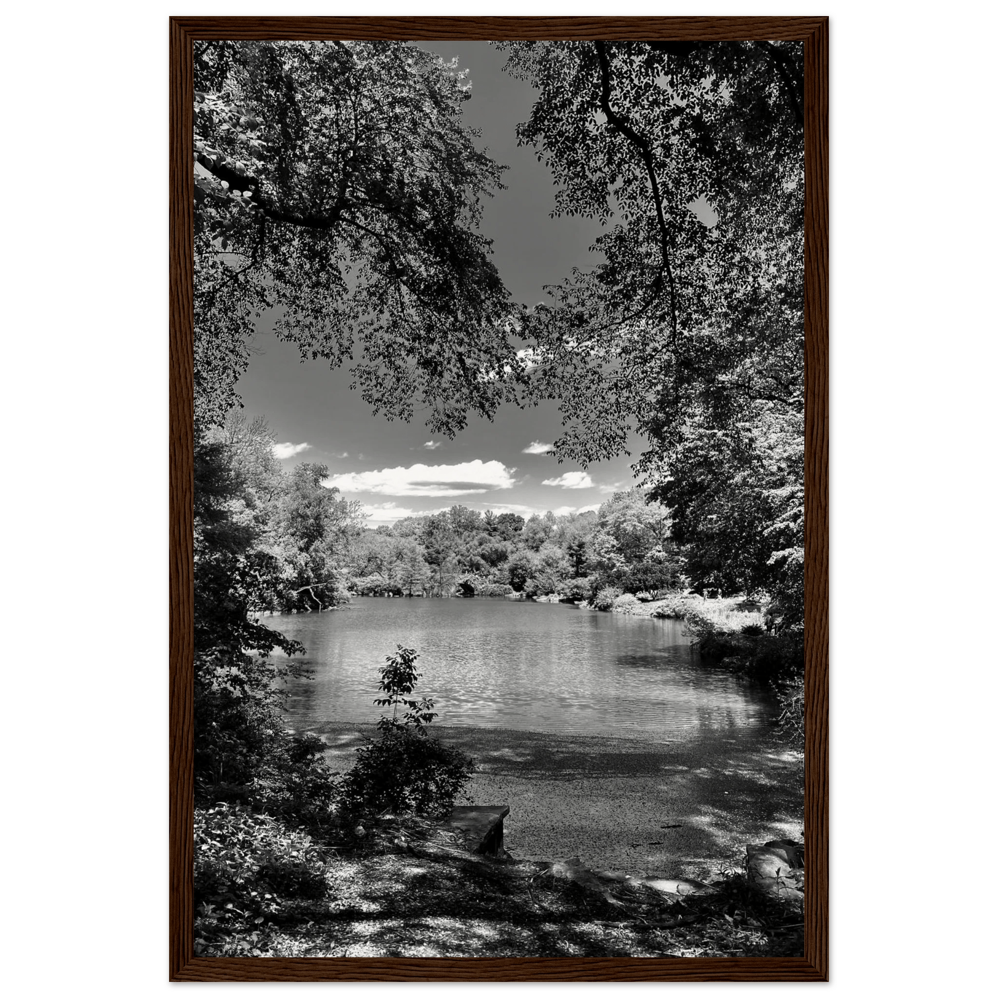 Framed wooden print of Central Park in summer glow, black and white Studio Edition from the Travel Collection, stylish wall art.