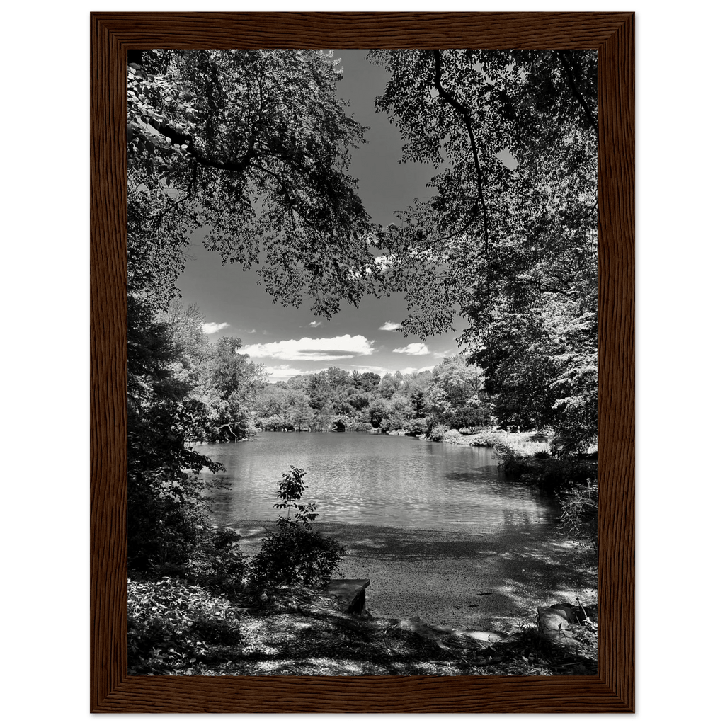 Framed wooden print of Central Park in a summer glow, black and white series, from the Travel Collection Studio Edition.