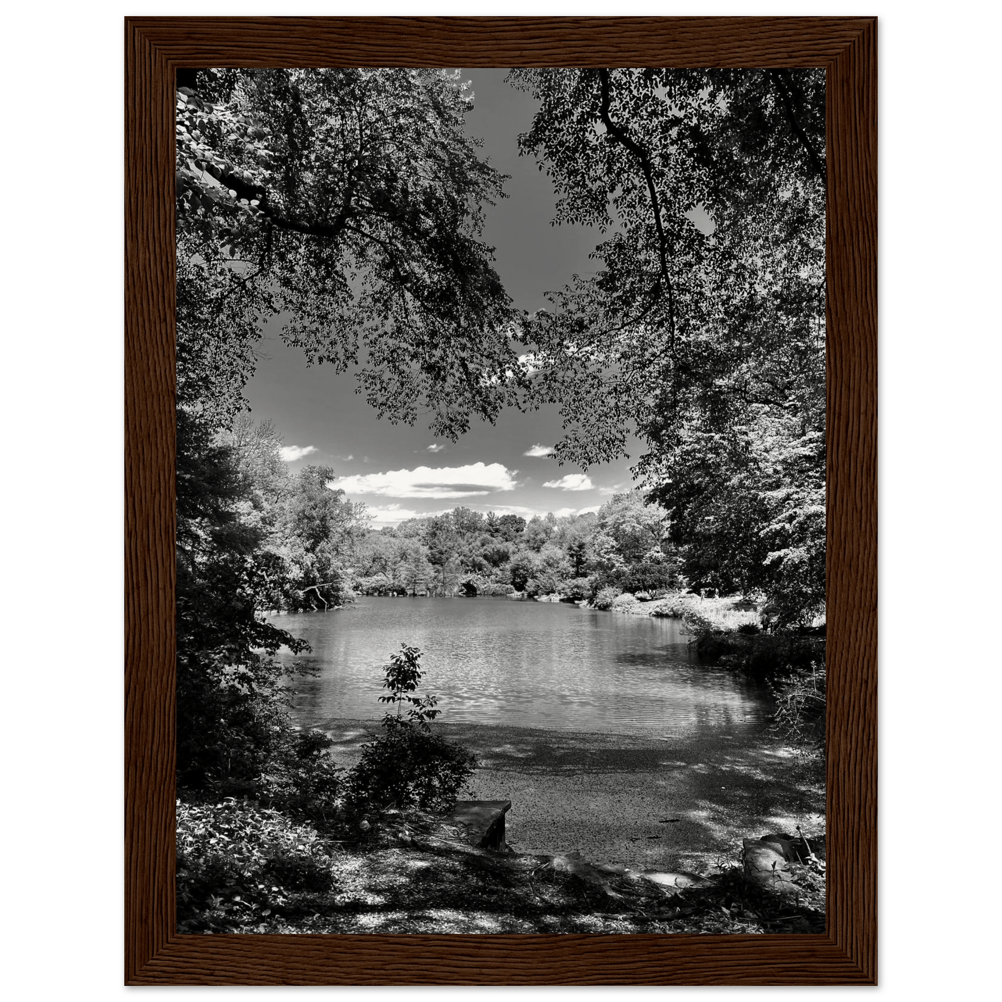 Framed wooden print of Central Park in a summer glow, black and white series, from the Travel Collection Studio Edition.