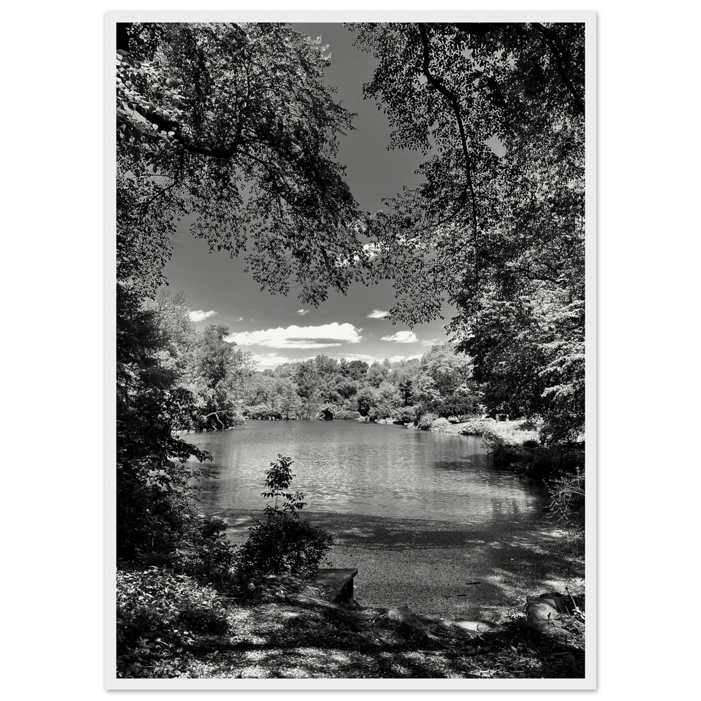 Black and white framed wooden poster of Central Park in summer glow from My Store's Travel Collection, Studio Edition, Holiday 25.