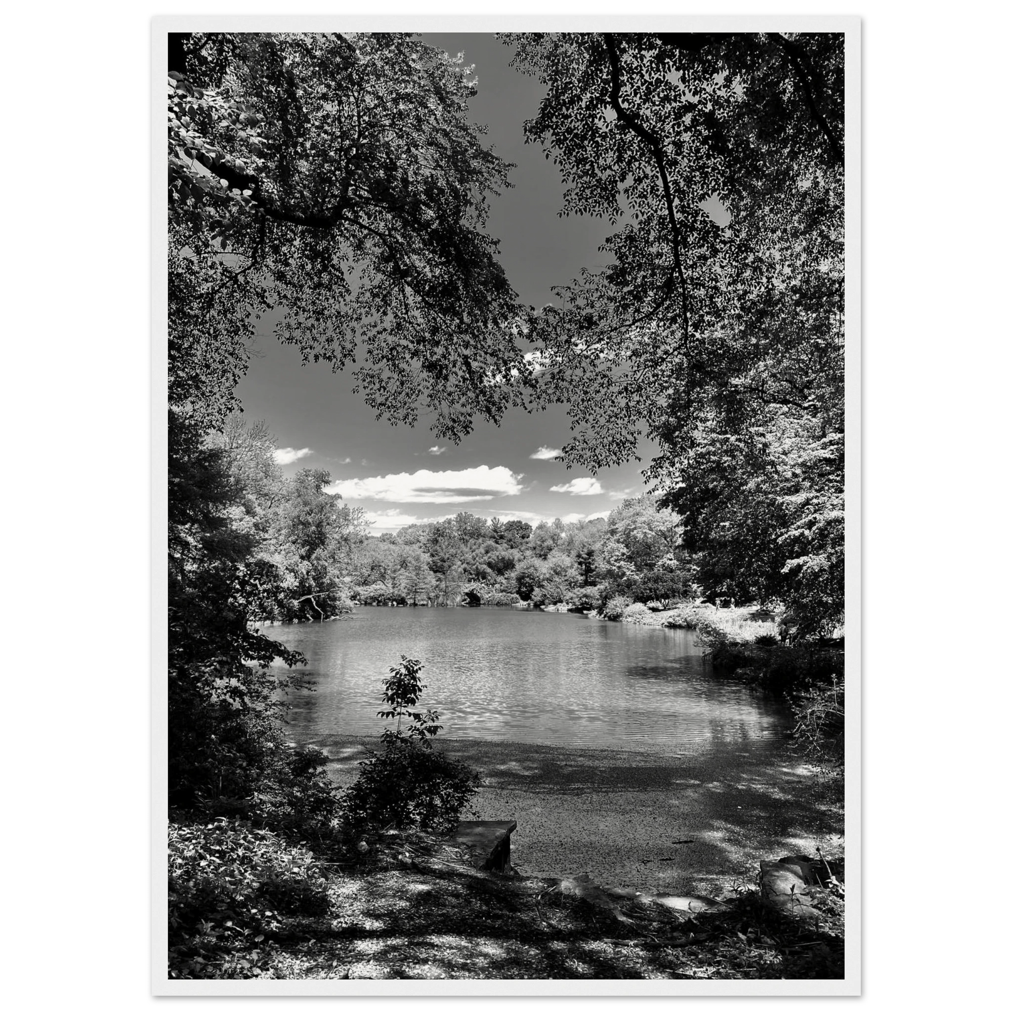 Black and white framed wooden poster of Central Park in summer glow from My Store's Travel Collection, Studio Edition, Holiday 25.