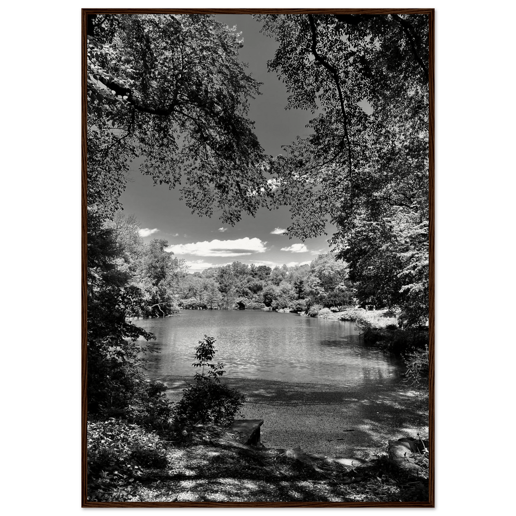 Framed black and white wooden poster of Central Park in summer glow, part of My Store's Travel Collection Studio Edition.