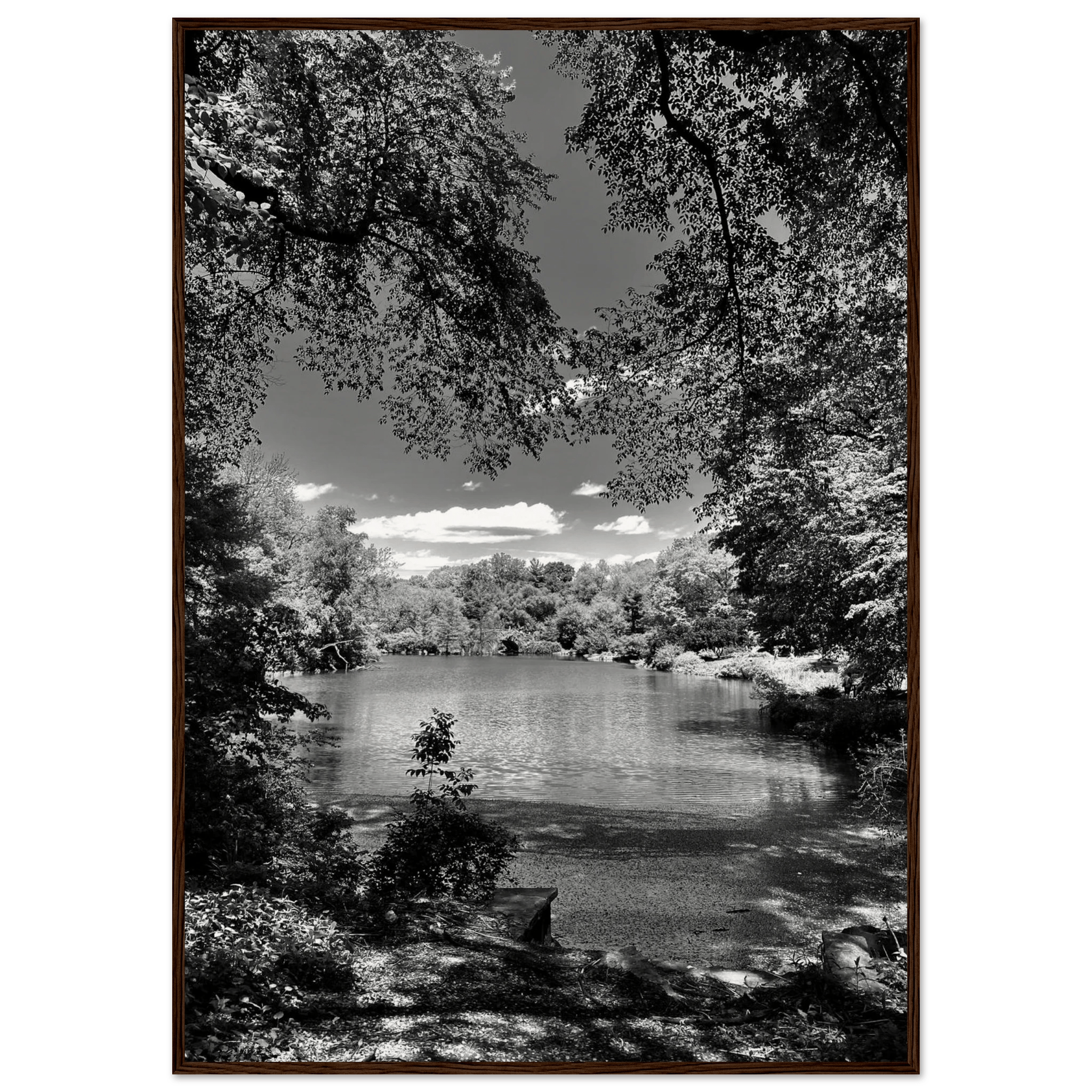 Framed black and white wooden poster of Central Park in summer glow, part of My Store's Travel Collection Studio Edition.