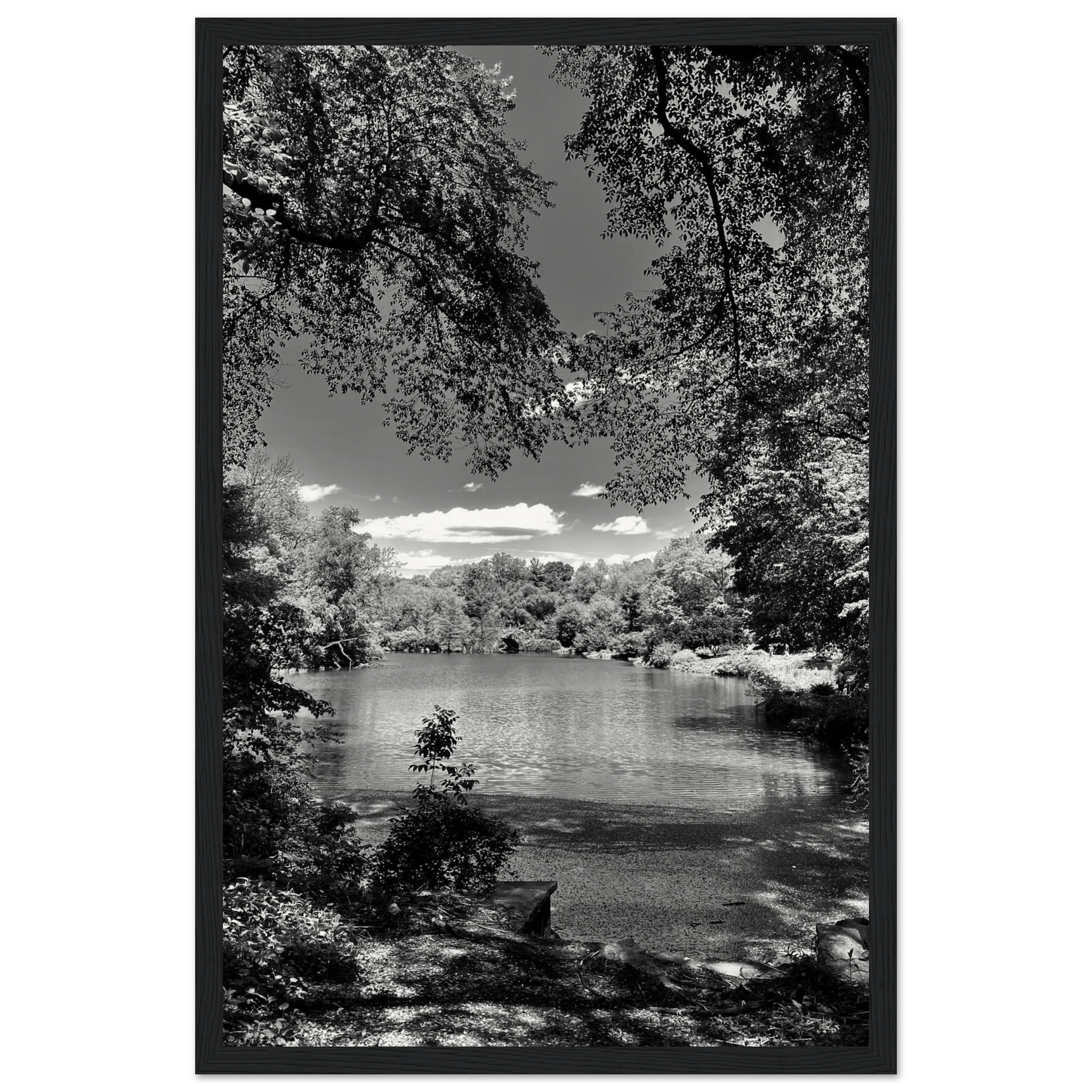 Framed wooden black and white poster of Central Park in summer glow, from My Store's travel collection studio edition.