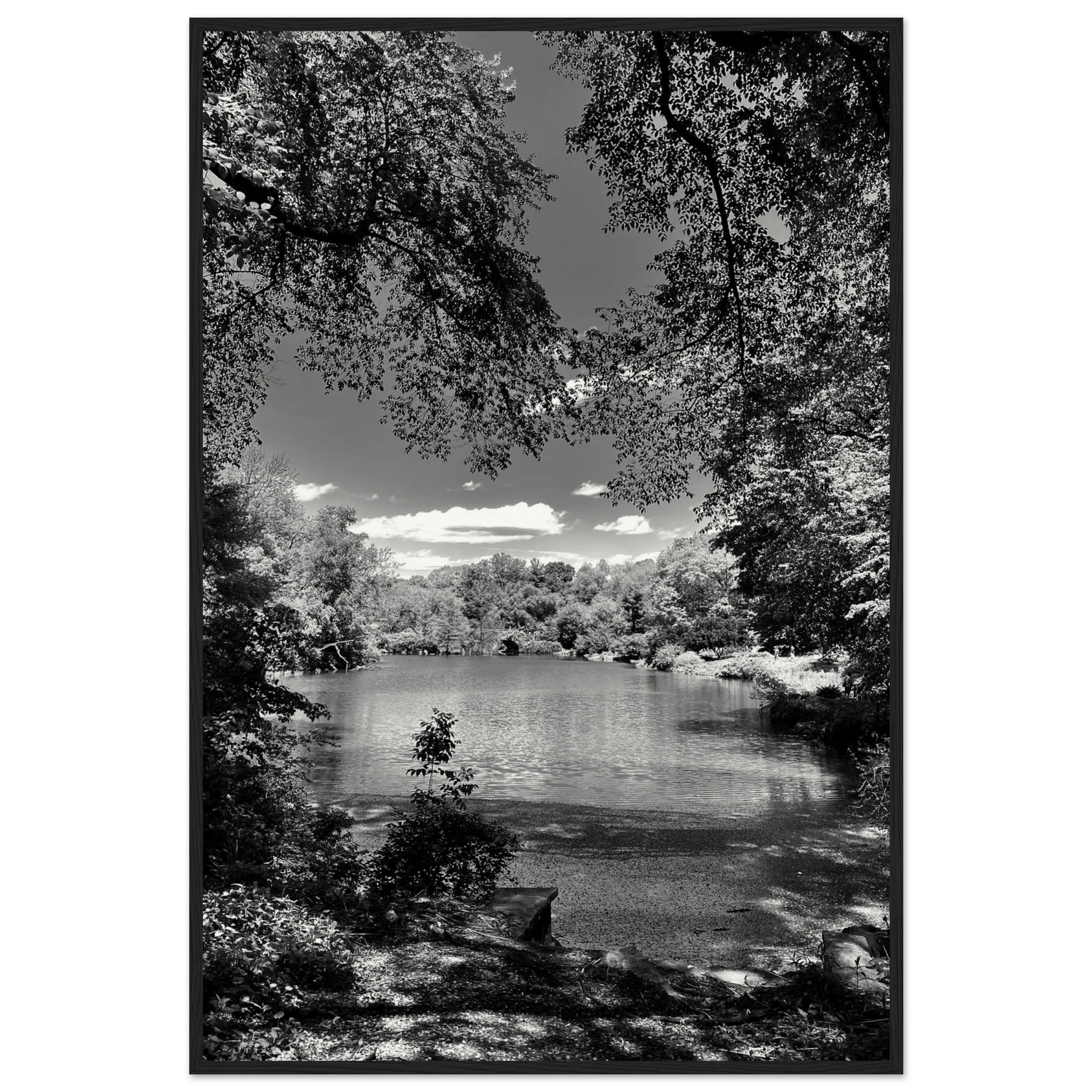 Framed wooden black and white poster of Central Park in summer glow, part of My Store's Travel Collection Studio Edition.