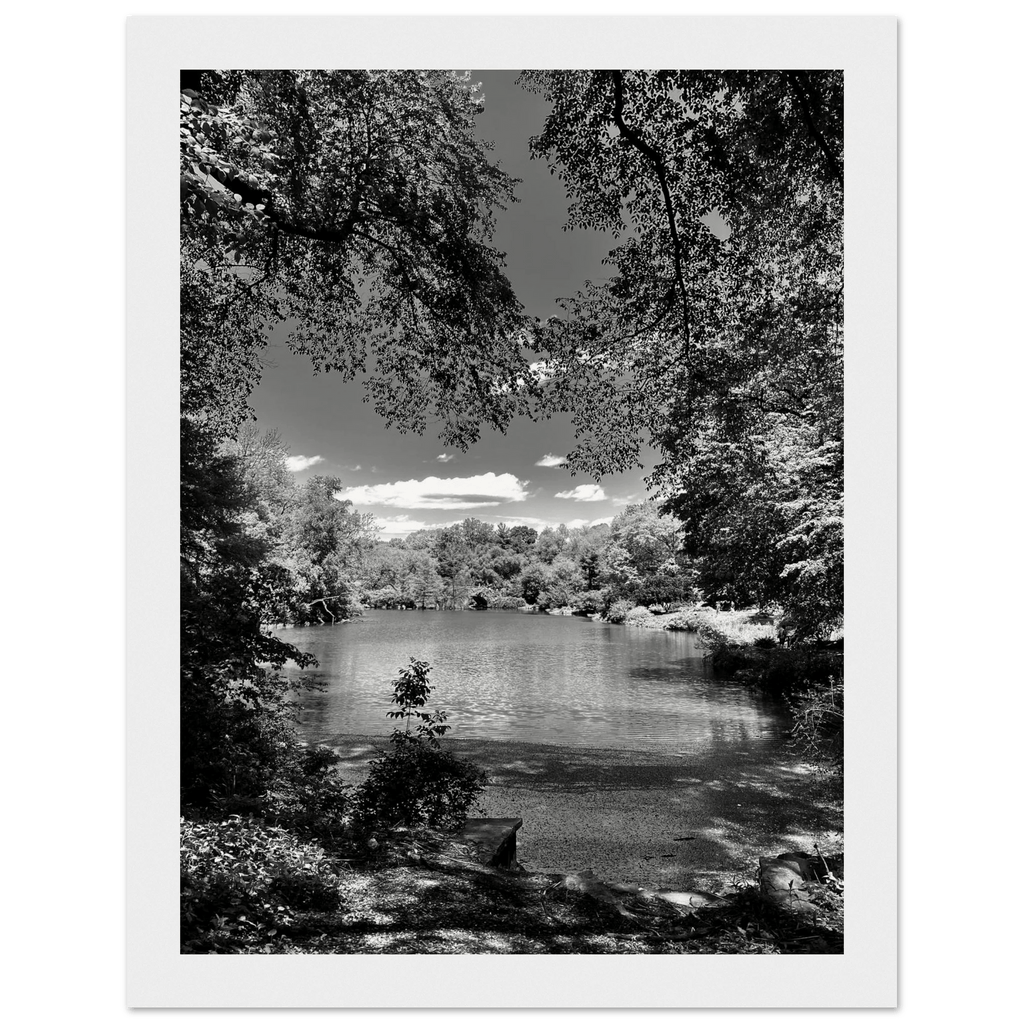Framed black and white wooden poster of Central Park in summer glow from My Store's Travel Collection Studio Edition.