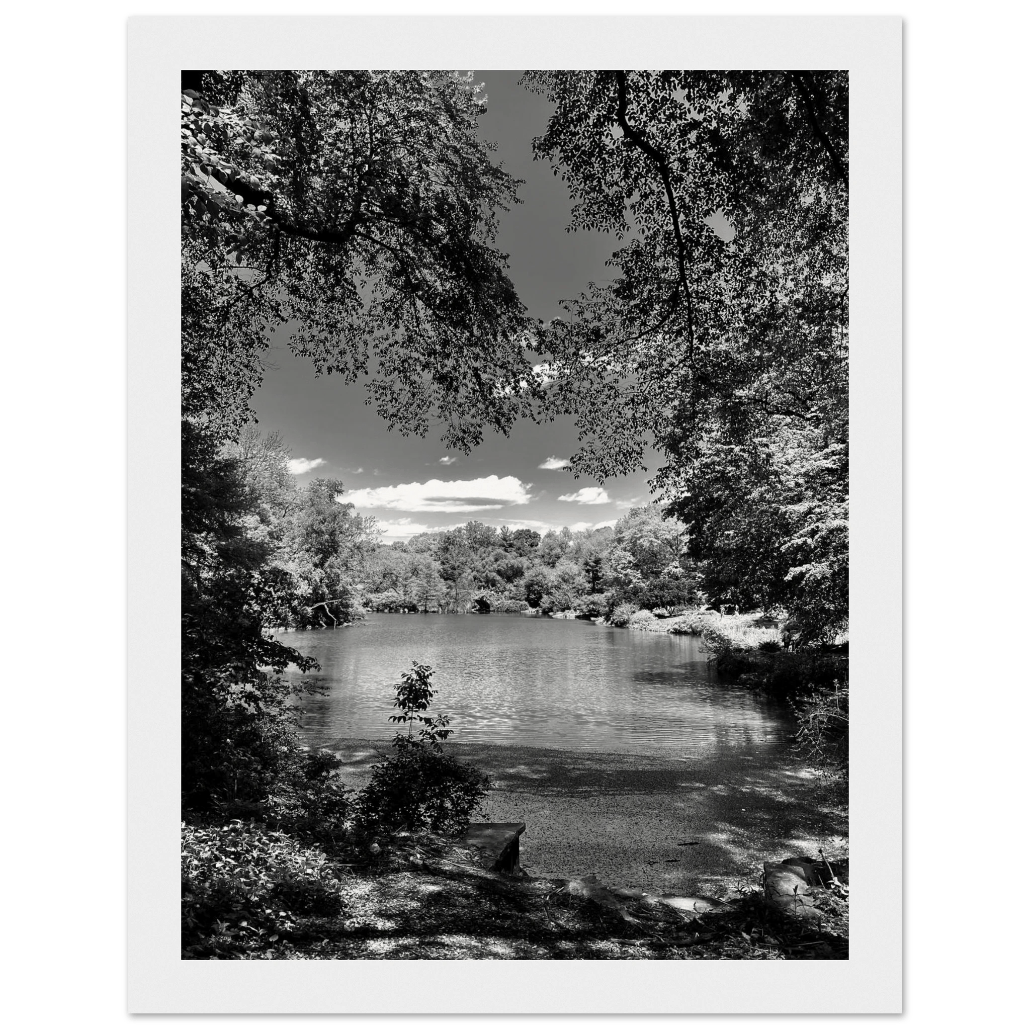 Framed black and white wooden poster of Central Park in summer glow from My Store's Travel Collection Studio Edition.