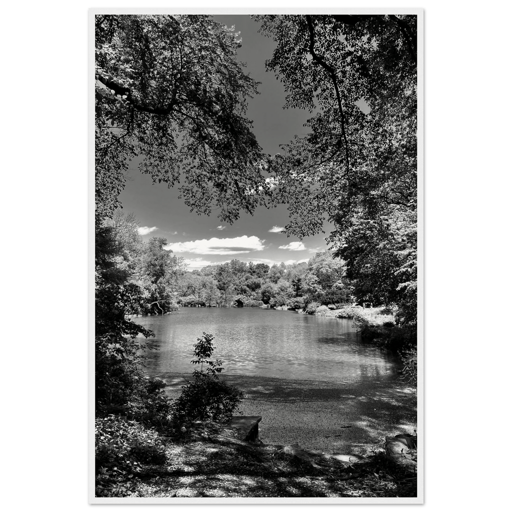 Framed wooden print of Central Park in summer glow, black and white Studio Edition from the Travel Collection, luxury art for any space.