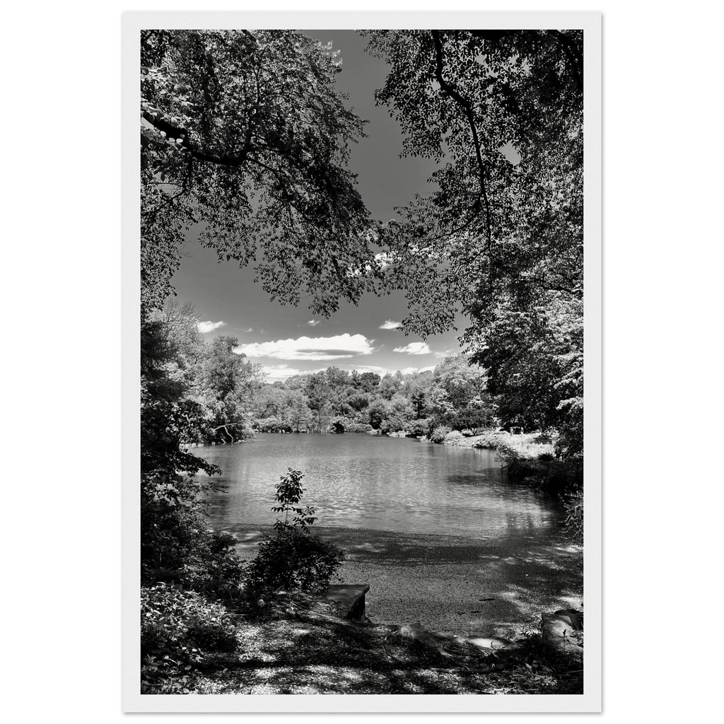 Framed wooden print of Central Park in a summer glow, from My Store's black and white travel collection studio edition.