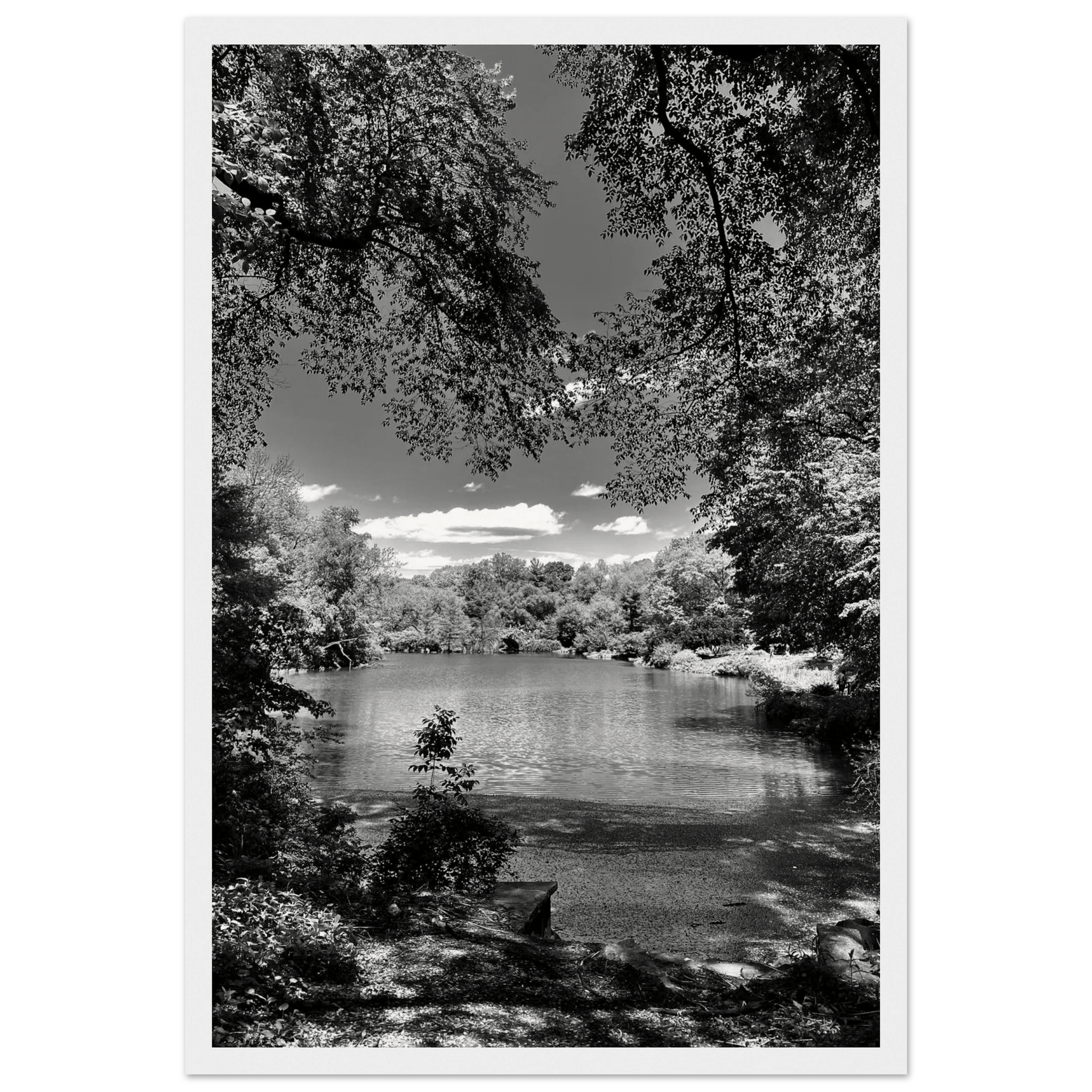 Framed wooden print of Central Park in a summer glow, from My Store's black and white travel collection studio edition.