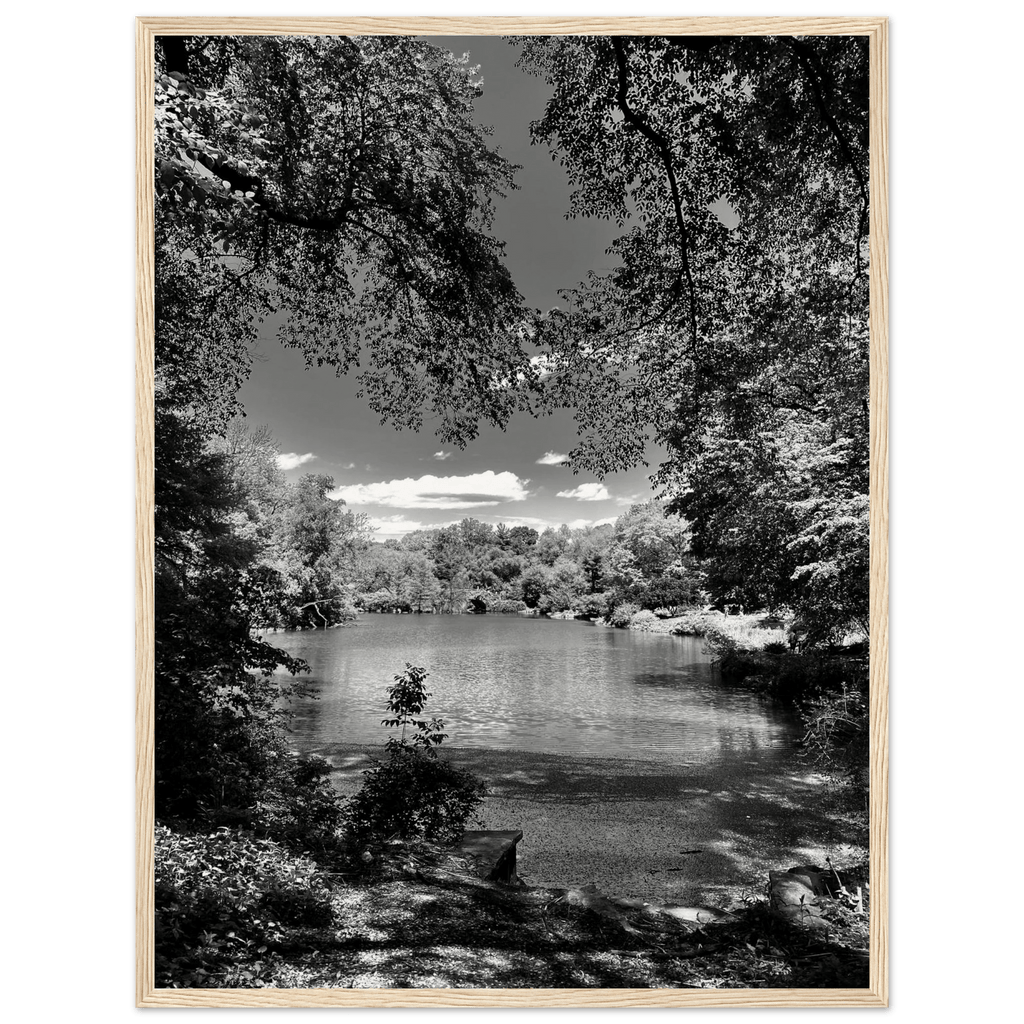 Framed black and white wooden poster of Central Park in summer glow, part of the Travel Collection Studio Edition, ideal for wall decor.