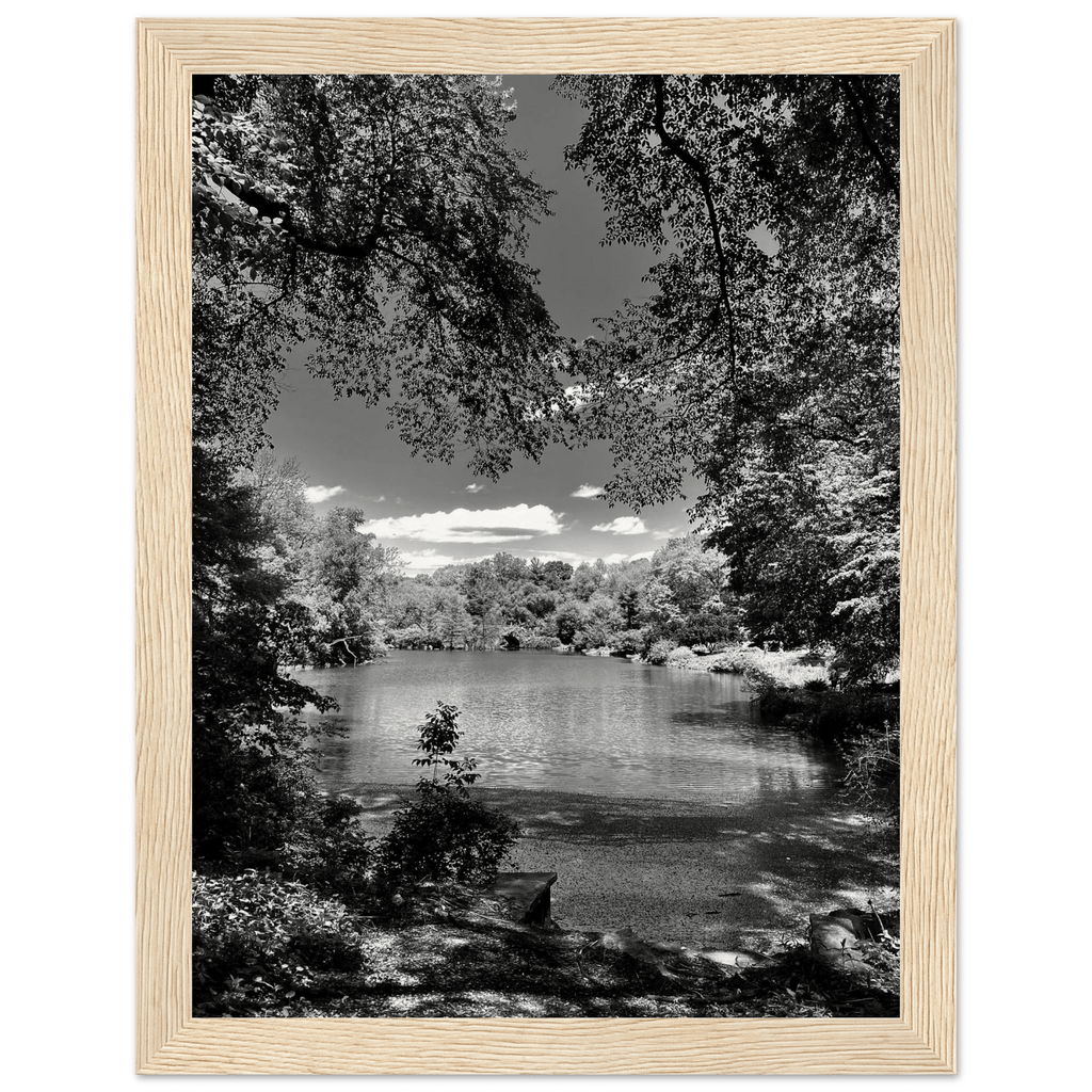Framed wooden print of Central Park in summer glow, part of My Store's Travel Collection Studio Edition black and white series.