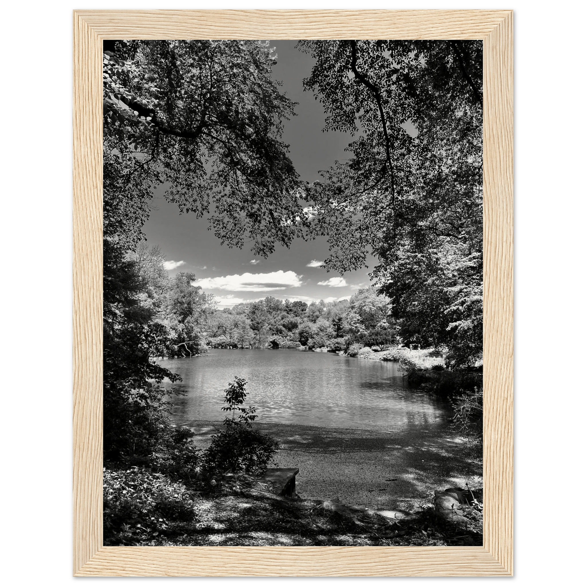 Framed wooden print of Central Park in summer glow, part of My Store's Travel Collection Studio Edition black and white series.