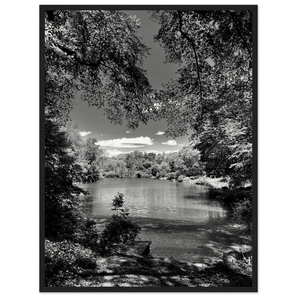 Framed wooden black and white poster of Central Park in summer glow, part of My Store's Travel Collection Studio Edition.