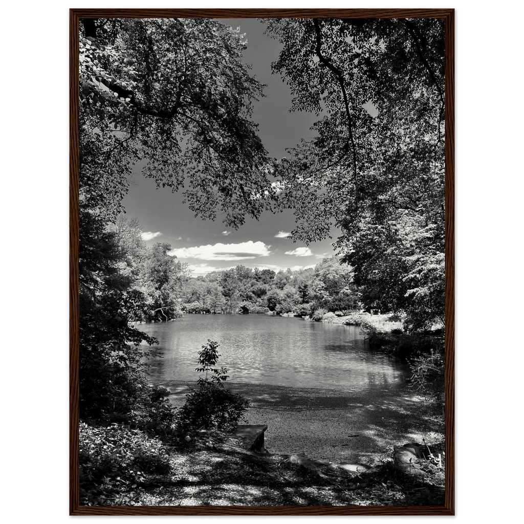 Framed wooden print of Central Park in a summer glow, part of the Travel Collection Studio Edition, black and white artwork.