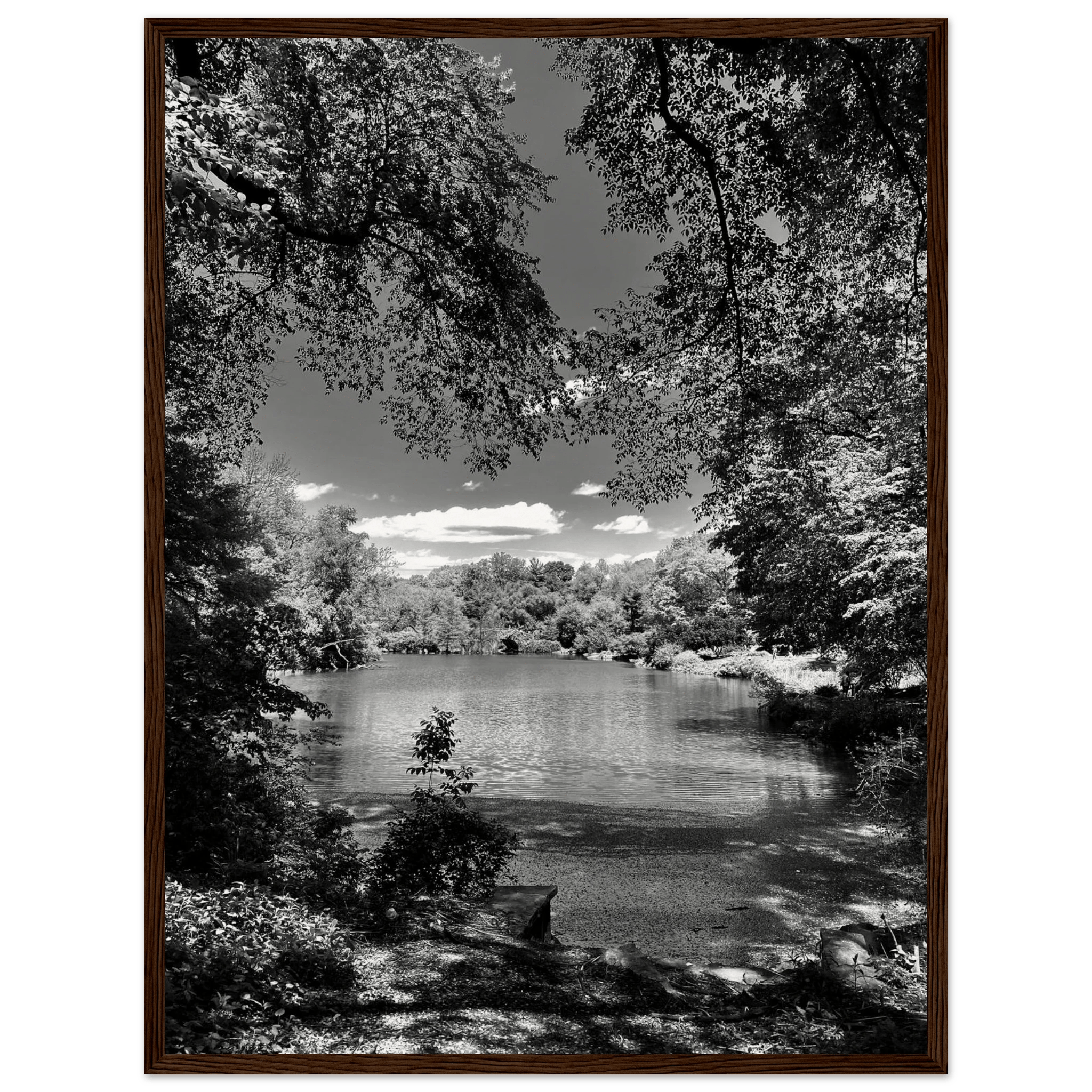Framed wooden print of Central Park in a summer glow, part of the Travel Collection Studio Edition, black and white artwork.