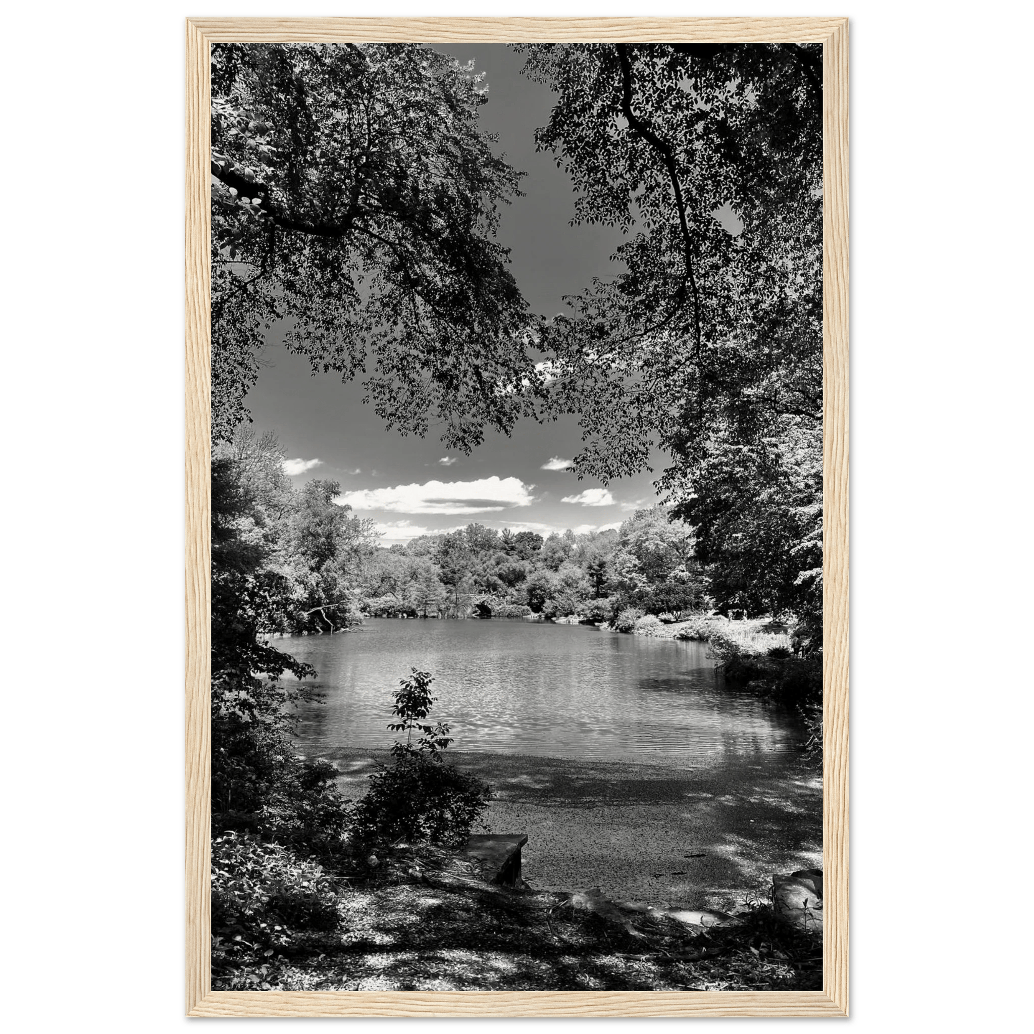 Framed wooden print of Central Park in a summer glow, part of the Studio Edition Black & White Series, luxury travel collection artwork.