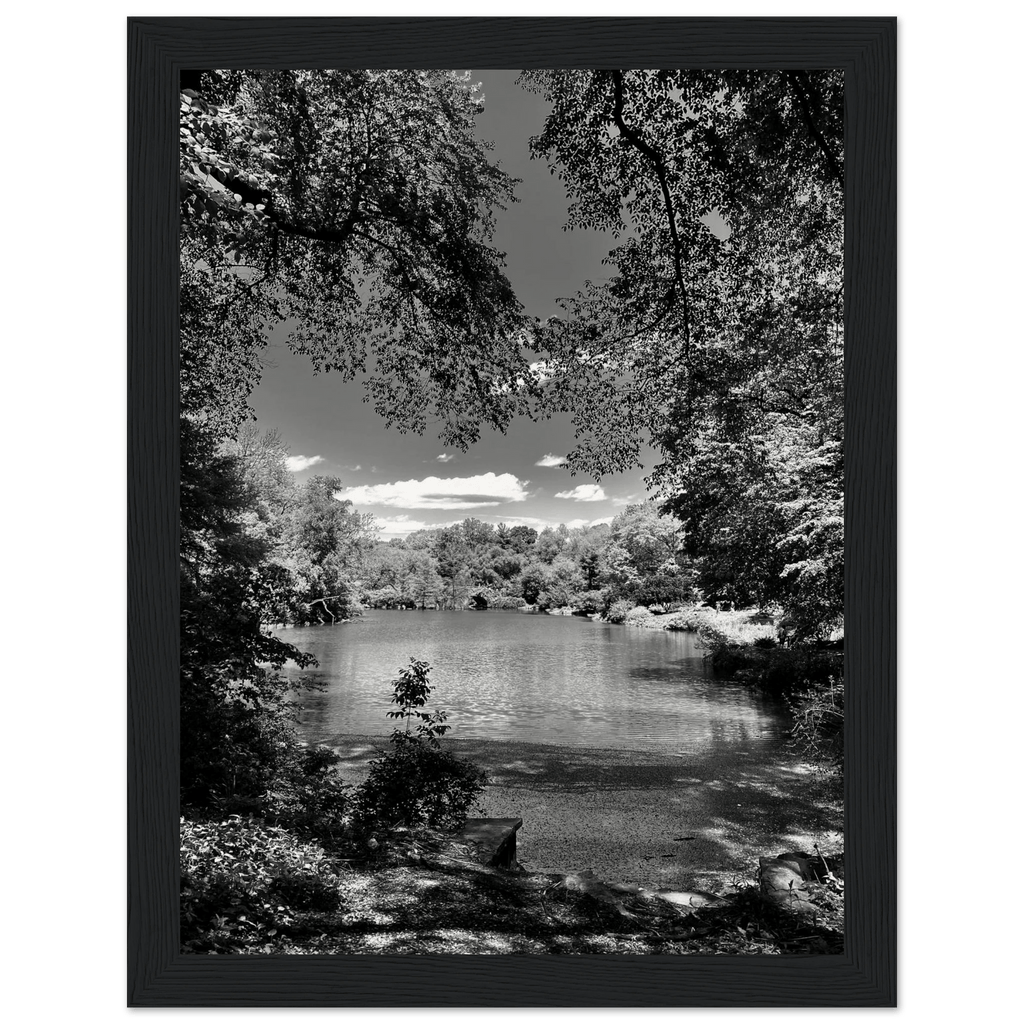Framed wooden print of Central Park in a summer glow, part of My Store's travel collection, studio edition black and white series.