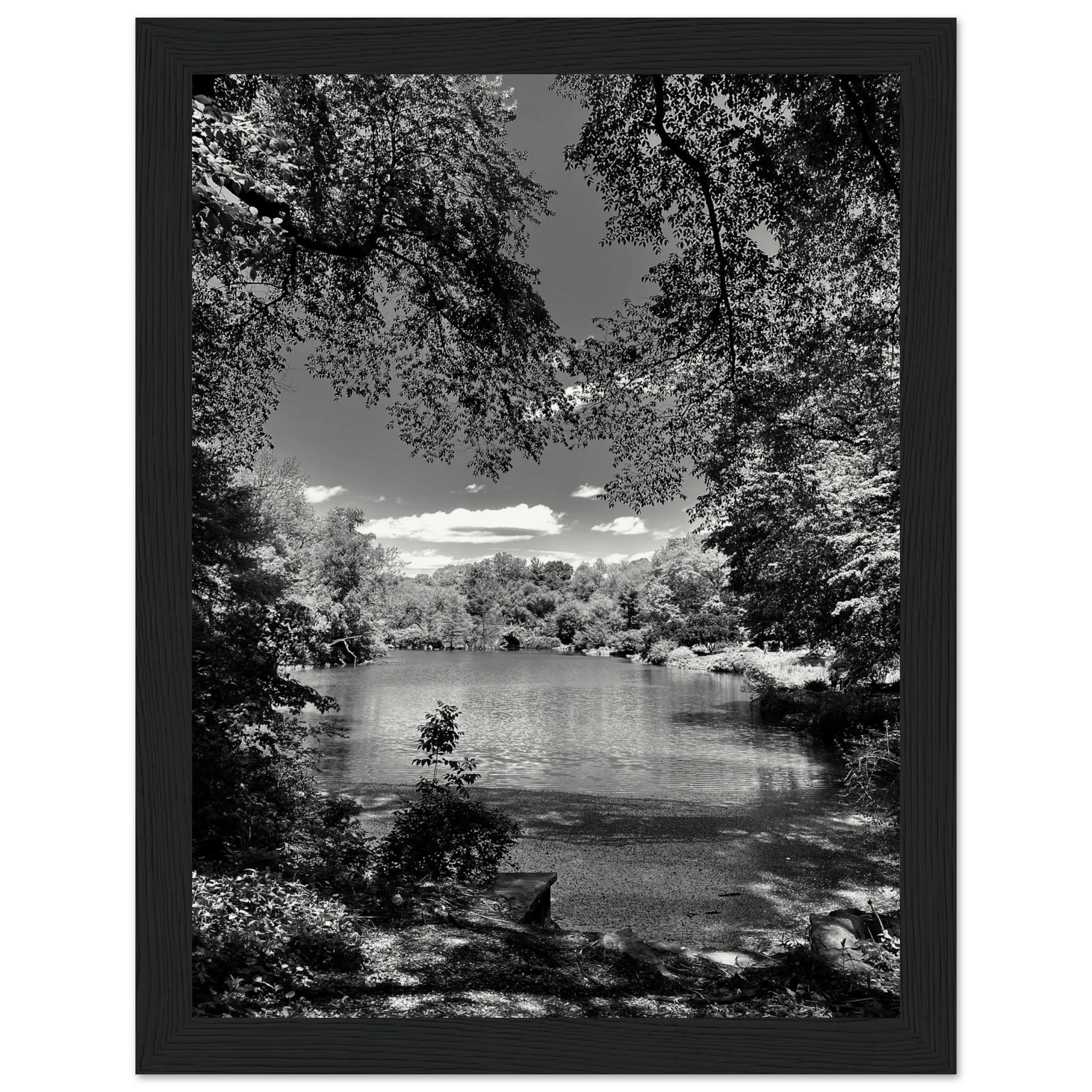 Framed wooden print of Central Park in a summer glow, part of My Store's travel collection, studio edition black and white series.