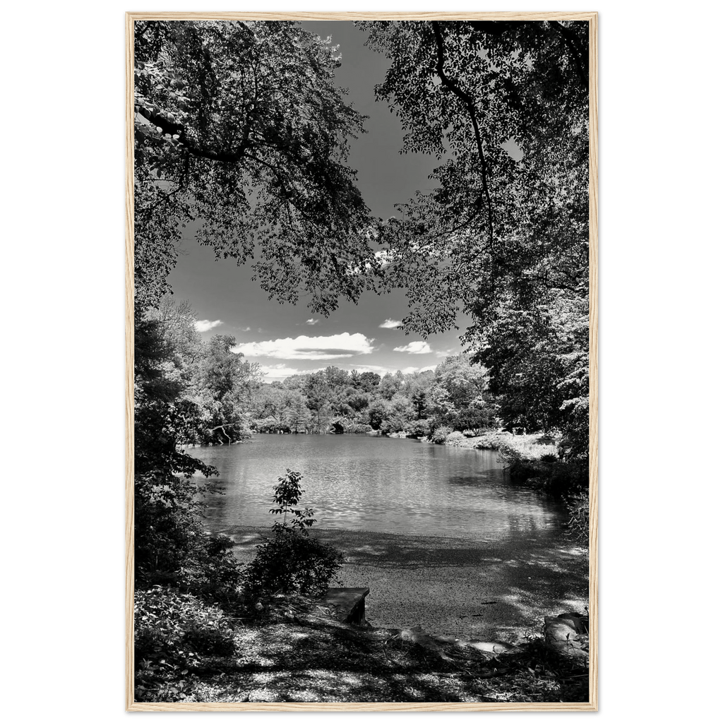 Framed wooden print of Central Park in summer glow, part of My Store's Travel Collection Studio Edition black and white series.