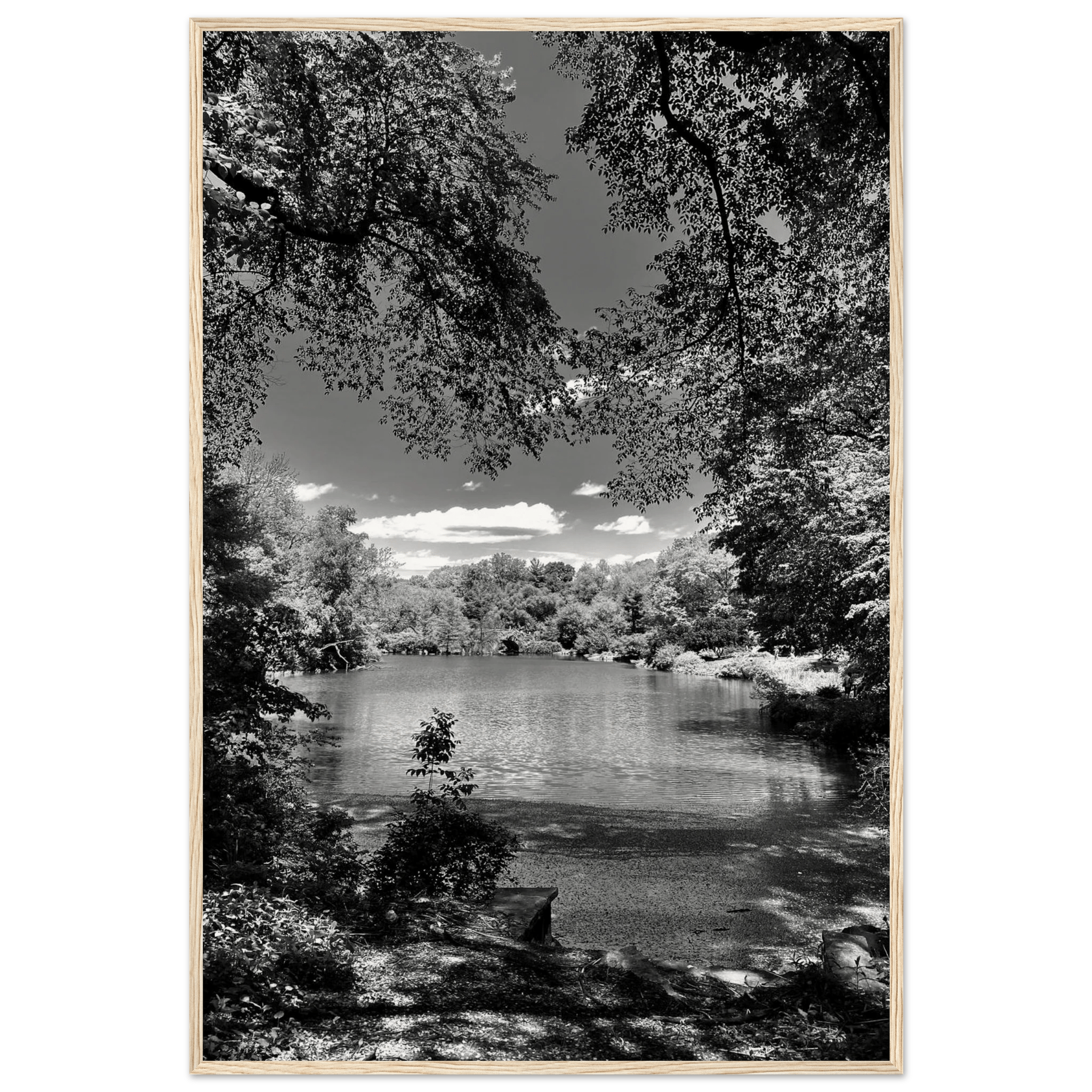 Framed wooden print of Central Park in summer glow, part of My Store's Travel Collection Studio Edition black and white series.