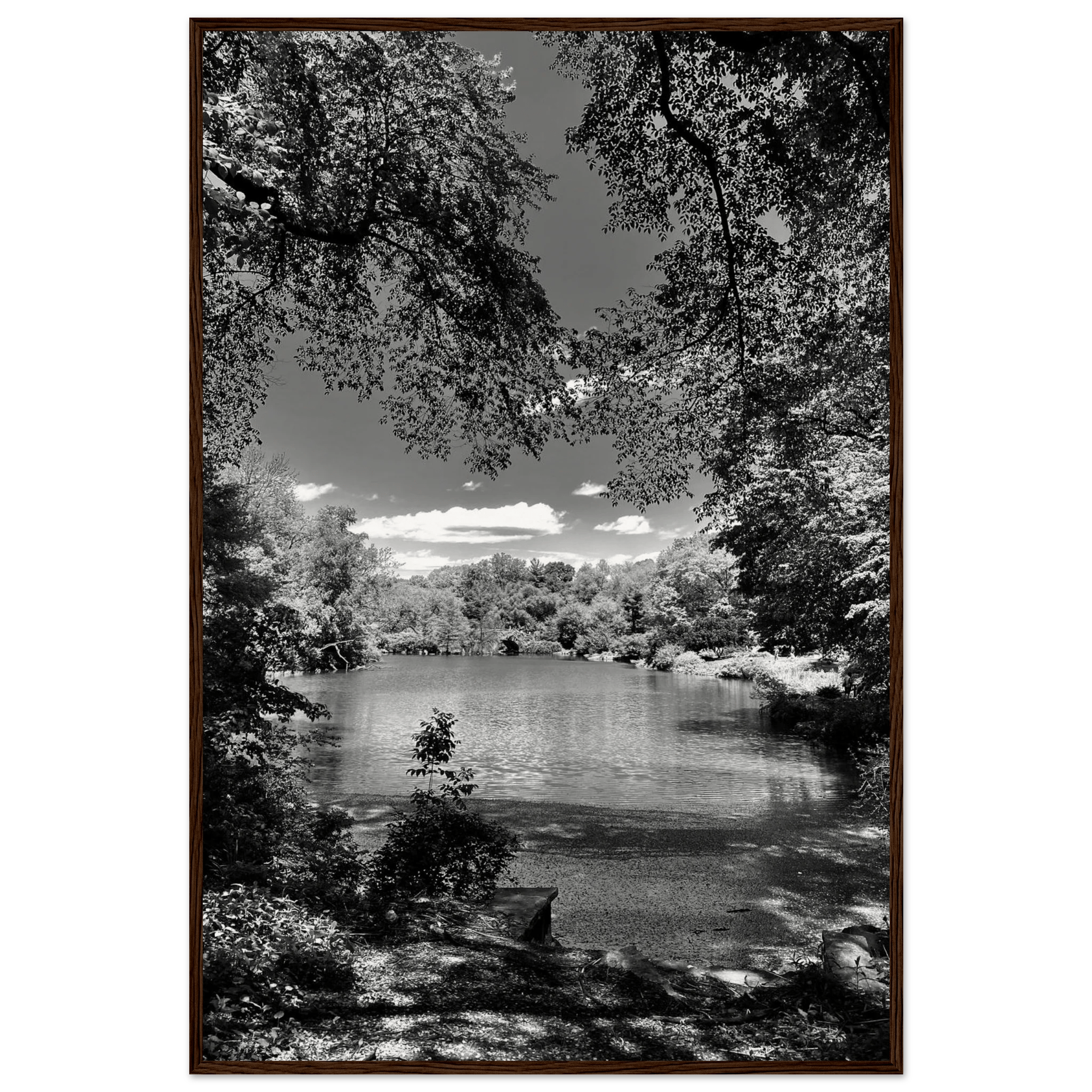 Framed wooden black and white poster of Central Park in summer glow, part of My Store's travel collection Studio Edition.
