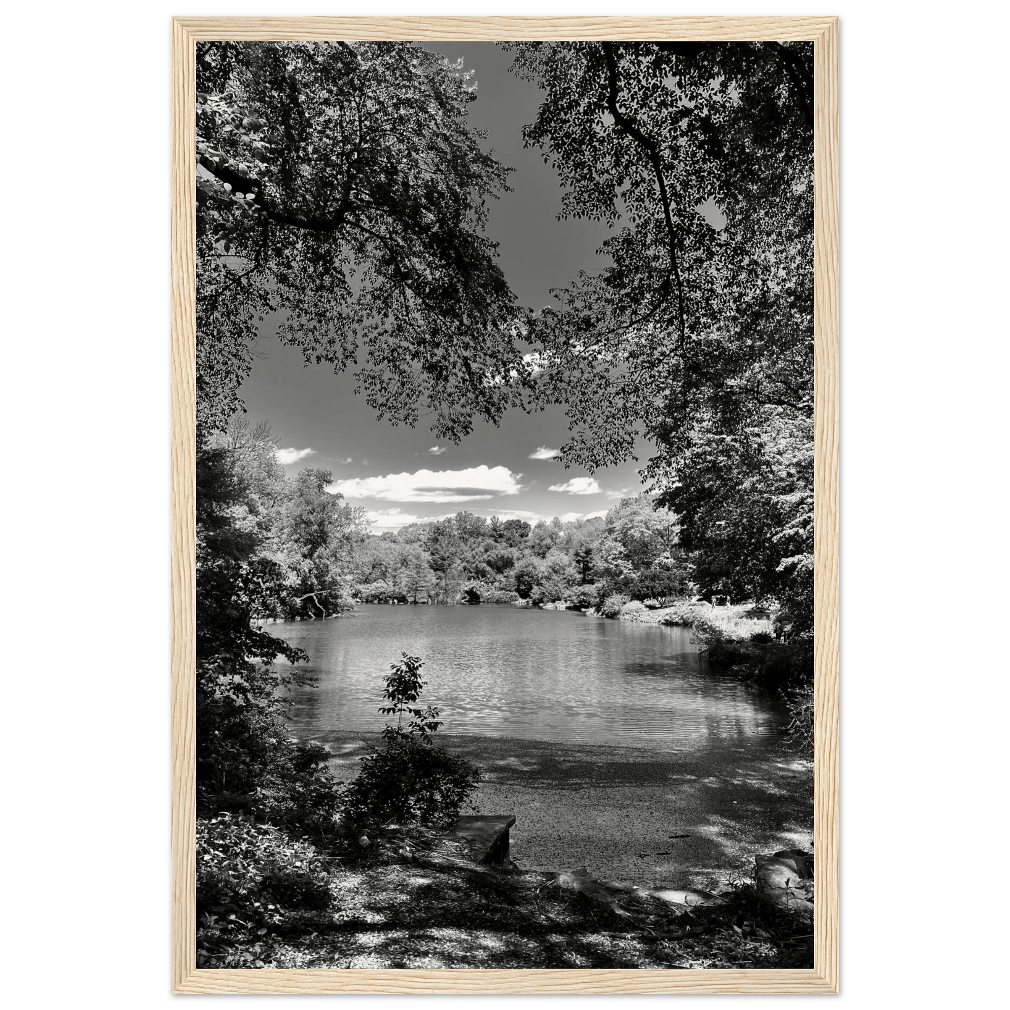 Framed black and white wooden poster of Central Park in summer glow, part of the Travel Collection Studio Edition.