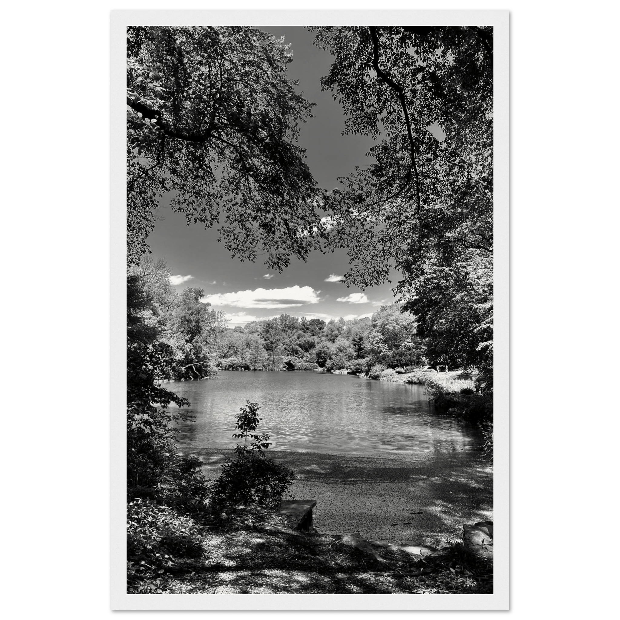 Framed wooden print of Central Park in a summer glow from the Travel Collection Studio Edition, black and white style artwork.