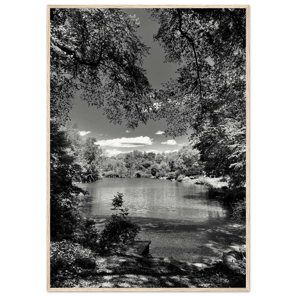Framed black and white wooden print of Central Park in summer glow, part of My Store's Travel Collection Studio Edition.