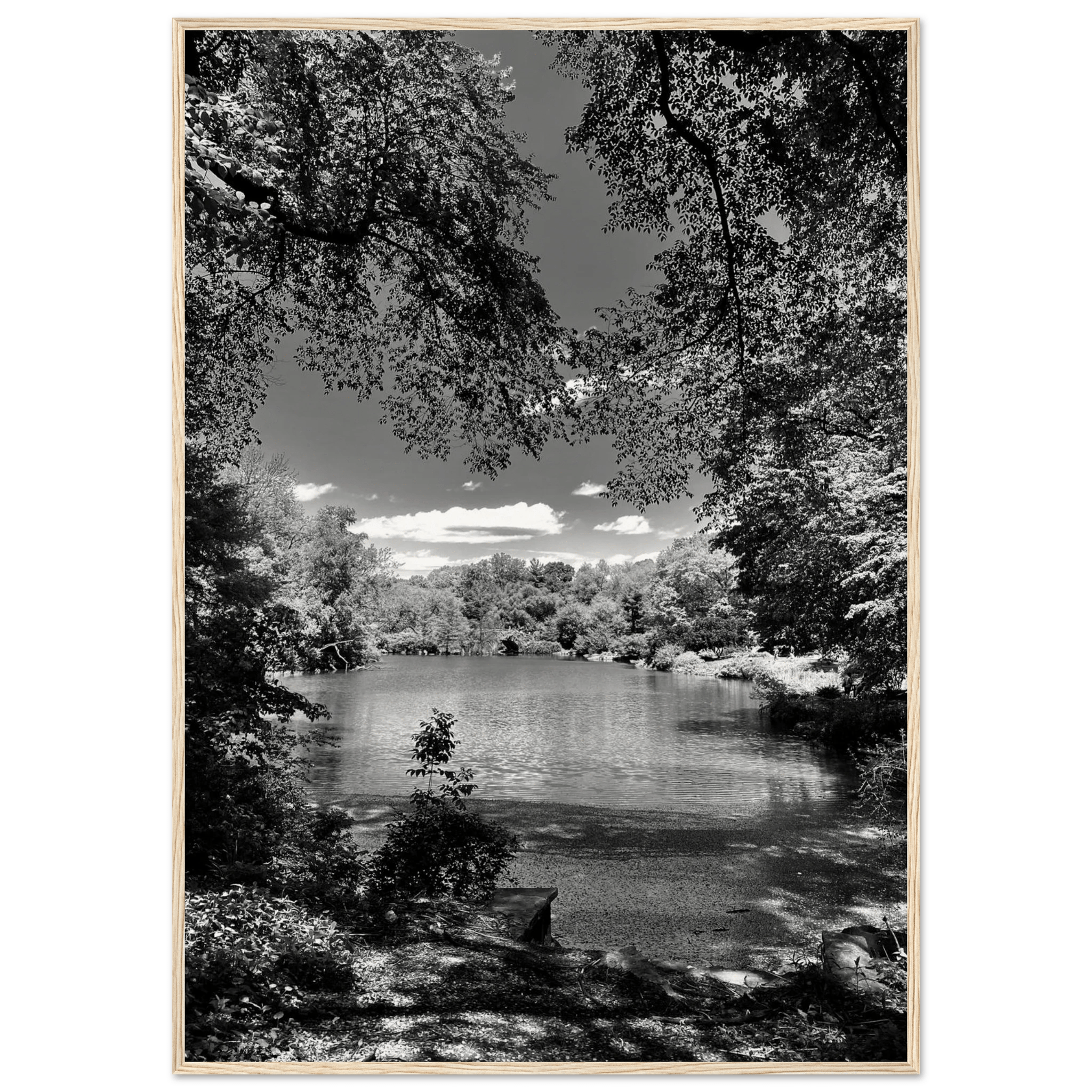 Framed black and white wooden print of Central Park in summer glow, part of My Store's Travel Collection Studio Edition.
